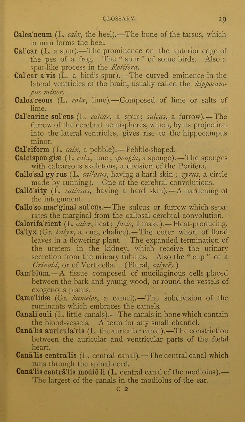 Calca'neum (L. calx, the heel).—The bone of the tarsus, which in man forms the heel. Cal'car (L. a spur).—The prominence on the anterior edge of the pes of a frog. The “ spur ” of some birds. Also a spur-like process in the Rotipera. Cal'car a'vis (L. a bird’s spur).—The curved eminence in the lateral ventricles of the brain, usually called the hippocam- pus minor. Calcareous (L. calx, lime).—Composed of lime or salts of lime. Calcarine sulcus (L. calcar, a spur; sulcus, a furrow). — The furrow of the cerebral hemispheres, which, by its projection into the lateral ventricles, gives rise to the hippocampus minor. Cal'ciform (L. calx, a pebble).—Pebble-shaped. Calcispon'gise (L. calx, lime; spongia, a sponge).—The sponges with calcareous skeletons, a division of the Porifera. Callo'sal gy'rus (L. callosus, having a hard skin ; gyrus, a circle made by running).—One of the cerebral convolutions. Callo sity (L. callosus, having a hard skin).—A hardening of the integument. Callo so-mar'ginal sul cus.—The sulcus or furrow which sepa- rates the marginal from the callosal cerebral convolution. Calorifa'cient (L. calor, heat; facio, I make). — Heat-producing. Ca lyx (Gr. kalyx, a cup, chalice). — The outer whorl of floral leaves in a flowering plant. The expanded termination of the ureters in the kidney, which receive the urinary secretion from the urinary tubules. Also the “ cup ” of a Crinoid, or of Vorticella. (Plural, calyces.) Cam'bium.—A tissue composed of mucilaginous cells placed between the bark and young wood, or round the vessels of exogenous plants. Came'lidse (Gr. kamelos, a camel).—The subdivision of the ruminants which embraces the camels. Canal!culi (L. little canals).—The canals in bone which contain the blood-vessels. A term for any small channel. Cana'lis auricula'ris (L. the auricular canal).—The constriction between the auricular and ventricular parts of the foetal heart. Cana'lis centralis (L. central canal).—The central canal which runs through the spinal cord. Cana'lis centralis modio li (L. central canal of the modiolus).— The largest of the canals in the modiolus of the ear. C 2