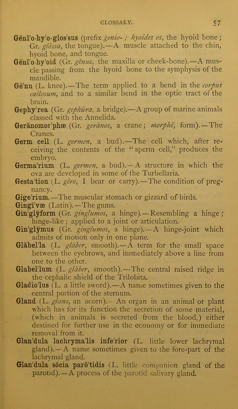 Geni'o-hy'o-glos'sus (prefix genio- ; hyoides os, the hyoid bone; Gr. glossa, the tongue).—A muscle attached to the chin, hyoid bone, and tongue. Geni'o-hy'oid (Gr. genus, the maxilla or cheek-bone).—A mus- cle passing from the hyoid bone to the symphysis of the mandible. Ge'nu (L. knee).—The term applied to a bend in the corpus callosum, and to a similar bend in the optic tract of the brain. Gephy'rea (Gr. gephura, a bridge).—A group of marine animals classed with the Annelida. Geranomor'phse (Gr. geranos, a crane; morphe, form).—The Cranes. Germ cell (L. gertnen, a bud).—The cell which, after re- ceiving the contents of the “ sperm cell,” produces the embryo. Germa'rium (L. germen, a bud). —A structure in which the ova are developed in some of the Turbellaria. Gesta'tion (L. gero, I bear or carry).—The condition of preg- nancy. Gige'rium. —The muscular stomach or gizzard of birds. Gingfvse (Latin).—The gums. Gin'glyform (Gr. ginglumos, a hinge). — Resembling a hinge; hinge-like; applied to a joint or articulation. Gin'glymus (Gr. ginglumos, a hinge). —A hinge-joint which admits of motion only in one plane. Glabella (L. gldber, smooth).—A term for the small space between the eyebrows, and immediately above a line from one to the other. Glabellum (L. gldber, smooth).—The central raised ridge in the cephalic shield of the Trilobita. Gladiolus (L. a little sword).—A name sometimes given to the central portion of the sternum. Gland (L. glans, an acorn).- An organ in an animal or plant which has for its function the secretion of some material, (which in animals is secreted from the blood,) either destined for further use in the economy or for immediate removal from it. Glan'dula lachrymalis infe'rior (L. little lower lachrymal gland).—A name sometimes given to the fore-part of the lachrymal gland. Glan'dula socia pard'tidis (L. little companion gland of the parotid).—A process of the parotid salivary gland.