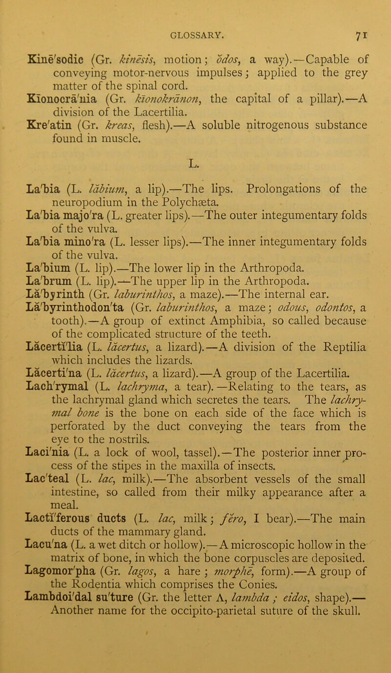 Kine'sodic (Gr. kinesis, motion; odos, a way).—Capable of conveying motor-nervous impulses; applied to the grey matter of the spinal cord. Kionocra'nia (Gr. kionokrdnon, the capital of a pillar).—A division of the Lacertilia. Kre'atin (Gr. kreas, flesh).—A soluble nitrogenous substance found in muscle. L. La'bia (L. labium, a lip).—The lips. Prolongations of the neuropodium in the Polychseta. La'bia majo'ra (L. greater lips).—The outer integumentary folds of the vulva. La'bia mino'ra (L. lesser lips).—The inner integumentary folds of the vulva. La'bium (L. lip).—The lower lip in the Arthropoda. La'brum (L. lip).—The upper lip in the Arthropoda. La/byrinth (Gr. laburinthos, a maze).—The internal ear. La'byrinthodon'ta (Gr. laburinthos, a maze; odous, odontos, a tooth).—A group of extinct Amphibia, so called because of the complicated structure of the teeth. Lacerti'lia (L. lacertus, a lizard).—A division of the Reptilia which includes the lizards. Lacerti'na (L. lacertus, a lizard).—A group of the Lacertilia. Lach'rymal (L. lachryma, a tear). —Relating to the tears, as the lachrymal gland which secretes the tears. The lachry- mal bone is the bone on each side of the face which is perforated by the duct conveying the tears from the eye to the nostrils. Laci'nia (L. a lock of wool, tassel).—The posterior inner pro- cess of the stipes in the maxilla of insects. Lac'teal (L. lac, milk).—The absorbent vessels of the small intestine, so called from their milky appearance after a meal. Lacti'ferous ducts (L. lac, milk; fero, I bear).—The main ducts of the mammary gland. Lacu'na (L. a wet ditch or hollow).—A microscopic hollow in the matrix of bone, in which the bone corpuscles are deposited. Lagomor'pha (Gr. lagos, a hare ; morphe, form).—A group of the Rodentia which comprises the Conies. Lambdoi'dal su'ture (Gr. the letter A, lambda ; eidos, shape).— Another name for the occipito-parietal suture of the skull.
