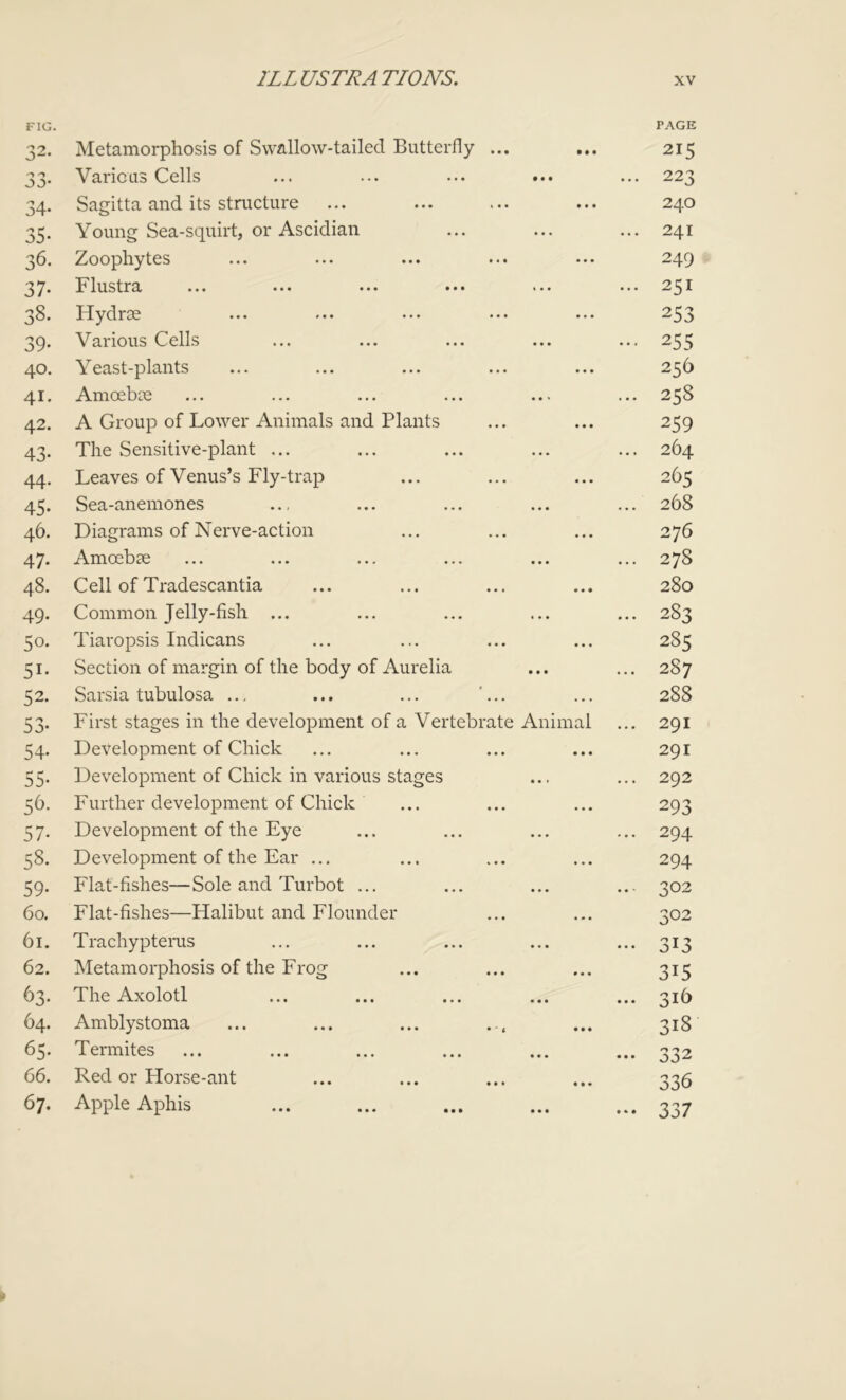 FIG. PAGE 32. Metamorphosis of Swallow-tailed Butterfly ... 215 OJ* Various Cells ... 223 34- Sagitta and its structure 24O 35- Young Sea-squirt, or Ascidian ... 241 n J)°- Zoophytes 249 37. Flustra ... ... ... ... ... ... 251 38. Hydrae ... ... ... ... ... 253 39- Various Cells 255 40. Yeast-plants 256 41. Amoebae ... 258 42. A Group of Lower Animals and Plants 259 43- The Sensitive-plant ... ... 264 44. Leaves of Venus’s Fly-trap 265 45- Sea-anemones ... 268 46. Diagrams of Nerve-action 276 47- Amoebae ... 278 48. Cell of Tradescantia 280 49. Common Jelly-fish ... 283 5o* Tiaropsis Indicans 285 Si- Section of margin of the body of Aurelia ... 287 52. Sarsia tubulosa ... ... ... ... 288 53- First stages in the development of a Vertebrate Animal ... 291 54- Development of Chick 291 55- Development of Chick in various stages ... 292 S^. Further development of Chick 293 57- Development of the Eye ... 294 58. Development of the Ear ... 294 59- Flat-fishes—Sole and Turbot ... ... 302 60. Flat-fishes—Halibut and Flounder 302 61. Trachyptems 62. Metamorphosis of the Frog 315 63. The Axolotl ... 316 64. Amblystoma 318 65. Termites ••• OJ2 66. Red or Horse-ant 33 6 67. Apple Aphis 337