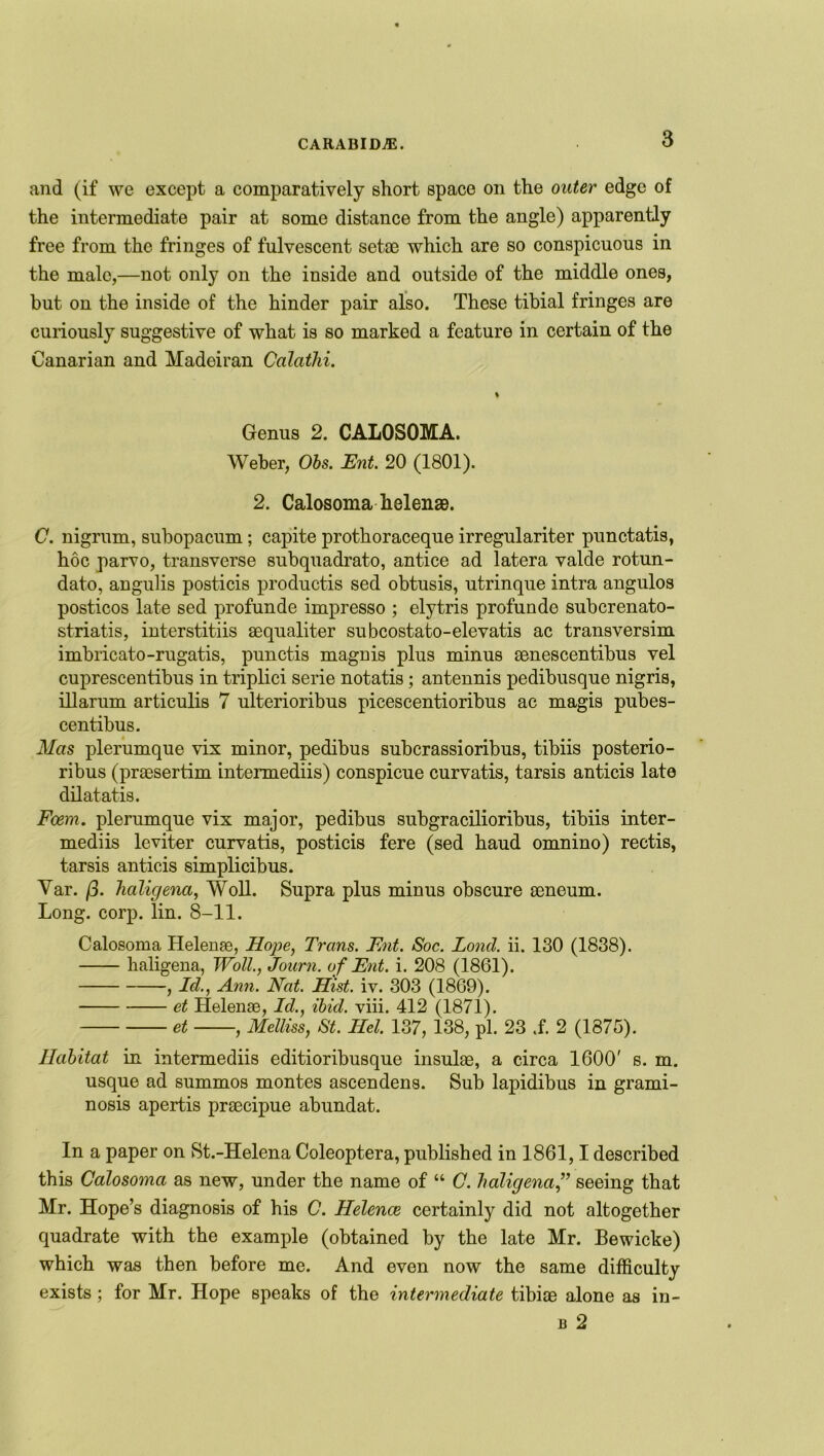 and (if we except a comparatively short space on the outer edge of the intermediate pair at some distance from the angle) apparently free from the fringes of fulvescent setae which are so conspicuous in the male,—not only on the inside and outside of the middle ones, but on the inside of the hinder pair also. These tibial fringes are curiously suggestive of what is so marked a feature in certain of the Canarian and Madeiran Ccilathi. Genus 2. CALOSOMA. Weber, Obs. Ent. 20 (1801). 2. Calosoma helenae. C. nigrum, subopacum; capite prothoraceque irregulariter punctatis, hoc parvo, transverse subquadrato, antice ad latera valde rotun- dato, angulis posticis productis sed obtusis, utrinque intra angulos posticos late sed profunde impresso ; elytris profunde subcrenato- striatis, interstitiis sequaliter subcostato-elevatis ac transversim imbricato-rugatis, punctis magnis plus minus aenescentibus vel cuprescentibus in triplici serie notatis; antennis pedibusque nigris, illarum articulis 7 ulterioribus picescentioribus ac magis pubes- centibus. Mas plerumque vix minor, pedibus subcrassioribus, tibiis posterio- ribus (praesertim intermediis) conspicue curvatis, tarsis anticis late dilatatis. Fcem. plerumque vix major, pedibus subgracilioribus, tibiis inter- mediis leviter curvatis, posticis fere (sed haud omnino) rectis, tarsis anticis simplicibus. Var. (3. haligena, Woll. Supra plus minus obscure aeneum. Long. corp. lin. 8-11. Calosoma Helenae, Hope, Trans. Ent. Soc. Lond. ii. 130 (1838). haligena, Woll., Journ. of Ent. i. 208 (1861). , Id., Ann. Nat. Hist. iv. 303 (1869). et Helenae, Id., ibid. viii. 412 (1871). et , Melliss, St. Hel. 137, 138, pi. 23 .f. 2 (1875). Habitat in intermediis editioribusque insulae, a circa 1600' s. m. usque ad summos montes ascendens. Sub lapidibus in grami- nosis apertis praecipue abundat. In a paper on St.-Helena Coleoptera, published in 1861,1 described this Calosoma as new, under the name of “ C. haligena,” seeing that Mr. Hope’s diagnosis of his C. Helence certainly did not altogether quadrate with the example (obtained by the late Mr. Bewicke) which was then before me. And even now the same difficulty exists ; for Mr. Hope speaks of the intermediate tibiae alone as in- b 2