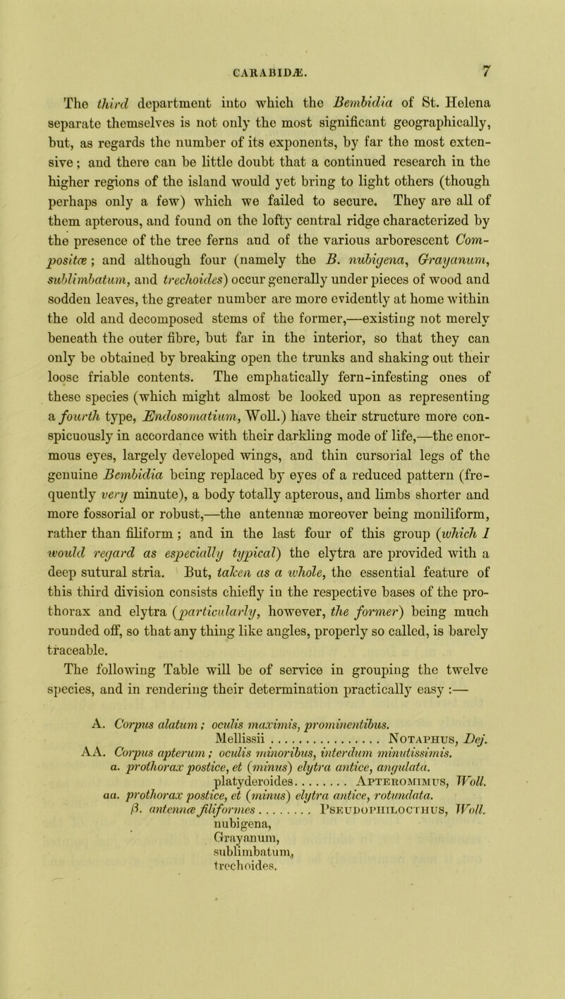 The third department into which the Bembidia of St. Helena separate themselves is not only the most significant geographically, but, as regards the number of its exponents, by far the most exten- sive ; and there can be little doubt that a continued research in the higher regions of the island would yet bring to light others (though perhaps only a few) which we failed to secure. They are all of them apterous, and found on the lofty central ridge characterized by the presence of the tree ferns and of the various arborescent Com- posite ; and although four (namely the B. nubigena, Grayanum, sublimbatum, and trechoides) occur generally under pieces of wood and soddeu leaves, the greater number are more evidently at home within the old and decomposed stems of the former,—existing not merely beneath the outer fibre, but far in the interior, so that they can only be obtained by breaking open the trunks and shaking out their loose friable contents. The emphatically fern-infesting ones of these species (which might almost be looked upon as representing a fourth type, JEndosomedium, Woll.) have their structure more con- spicuously in accordance with their darkling mode of life,—the enor- mous eyes, largely developed wings, and thin cursorial legs of the genuine Bembidia being replaced by eyes of a reduced pattern (fre- quently very minute), a body totally apterous, and limbs shorter and more fossorial or robust,—the antennae moreover being moniliform, rather than filiform; and in the last four of this group (which 1 would regard as especially typical) the elytra are provided with a deep sutural stria. But, taken as a whole, the essential feature of this third division consists chiefly in the respective bases of the pro- thorax and elytra (particularly, however, the former) being much rounded off, so that any thing like angles, properly so called, is barely traceable. The following Table will be of service in grouping the twelve species, and in rendering their determination practically easy :— A. Corpus alatum; oculis maximis, prominentibus. Mellissii Notaphus, Dej. AA. Corpus apterum; oculis minoribus, interdum minutissimis. a. prothorax postice, et (minus) elytra antice, angulata. platyderoides Apteromevius, Woll. aa. prothorax postice, et (minus) elytra antice, rotundata. fi. antennaJiliformes Pseudopiiilocthus, Woll nubigena, Gray an urn, sublimbatum,, trechoides.