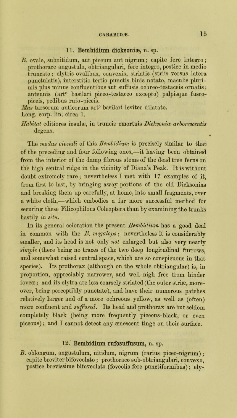 11. Bembidium dicksoniae, n. sp. B. ovale, subnitidum, aut piceum aut nigrum; capite fere integro ; prothorace angustulo, obtriangulari, fere integro, postice in medio truncato; elytris ovalibus, convexis, striatis (striis versus latera punctulatis), interstitio tertio punctis binis notato, maculis pluri- mis pi us minus confluentibus aut suffusis ochreo-testaceis ornatis; antennis (art° basilari piceo-testaceo excepto) palpisque fusco- piceis, pedibus rufo-piceis. Mas tarsorum anticorum art0 basilari leviter dilatato. Long. corp. lin. circa 1. Habitat editiores insulae, in truncis emortuis Dicksonice arborescentis degens. The modus vivendi of this Bembidium is precisely similar to that of the preceding and four following ones,—it having been obtained from the interior of the damp fibrous stems of the dead tree ferns on the high central ridge in the vicinity of Diana’s Peak. It is without doubt extremely rare; nevertheless I met with 17 examples of it, from first to last, by bringing away portions of the old Dicksonias and breaking them up carefully, at home, into small fragments, over a white cloth,—which embodies a far more successful method for securing these Filicophilous Coleoptera than by examining the trunks hastily in situ. In its general coloration the present Bembidium has a good deal in common with the B. megalops; nevertheless it is considerably smaller, and its head is not only not enlarged but also very nearly simple (there being no traces of the two deep longitudinal furrows, and somewhat raised central space, which are so conspicuous in that species). Its prothorax (although on the whole obtriangular) is, in proportion, appreciably narrower, and well-nigh free from hinder fovese; and its elytra are less coarsely striated (the outer striae, more- over, being perceptibly punctate), and have their numerous patches relatively larger and of a more ochreous yellow, as well as (often) more confluent and suffused. Its head and prothorax are but seldom completely black (being more frequently piceous-black, or even piceous); and I cannot detect any senescent tinge on their surface. 12. Bembidium rufosuffusum, n. sp. B. oblongum, angustulum, nitidum, nigrum (rarius piceo-nigrum); capite breviter bifoveolato; prothorace sub-obtriangulari, convexo, postice brovissime bifoveolato (foveolis fere punctiformibus); ely-