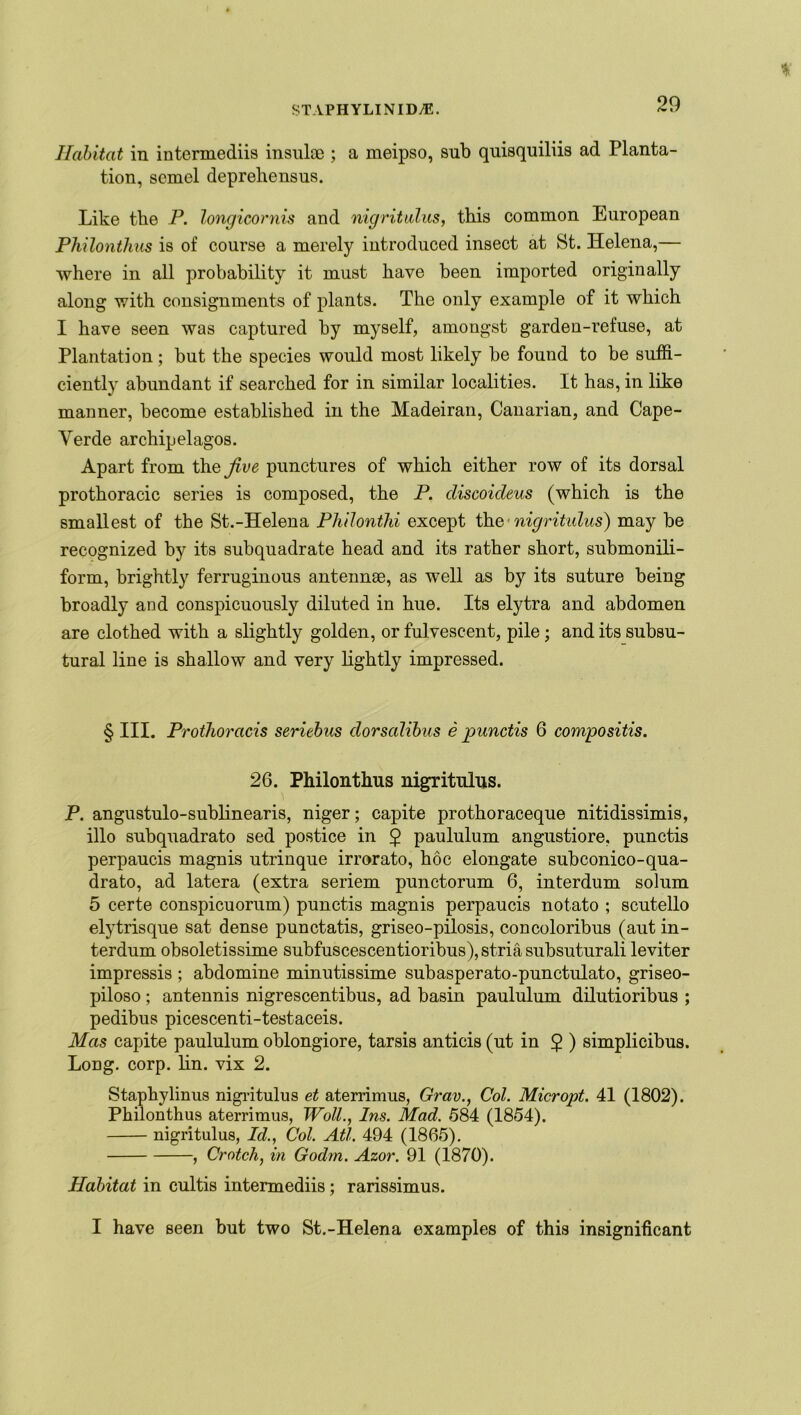 Habitat in intermediis insuloe ; a meipso, sub quisquiliis ad Planta- tion, scmel deprehensus. Like tbe P. longicornis and nigritulus, this common European Philonthus is of course a merely introduced insect at St. Helena,— where in all probability it must have been imported originally along with consignments of plants. The only example of it which I have seen was captured by myself, amongst garden-refuse, at Plantation; but the species would most likely be found to be suffi- ciently abundant if searched for in similar localities. It has, in like manner, become established in the Madeiran, Canarian, and Cape- Yerde archipelagos. Apart from thq five punctures of which either row of its dorsal prothoracic series is composed, the P. cliscoideus (which is the smallest of the St.-Helena Philonthi except the• nigritulus) may be recognized by its subquadrate head and its rather short, submonili- form, brightly ferruginous antennae, as well as by its suture being broadly and conspicuously diluted in hue. Its elytra and abdomen are clothed with a slightly golden, or fulvescent, pile; and its subsu- tural line is shallow and very lightly impressed. § III. Prothoracis seriebus dorsalibus e punctis 6 compositis. 26. Philonthus nigritulus. P. angustulo-sublinearis, niger; capite prothoraceque nitidissimis, illo subquadrato sed postice in § paululum angustiore, punctis perpaucis magnis utrinque irrorato, hoc elongate subconico-qua- drato, ad latera (extra seriem punctorum 6, interdum solum 5 certe conspicuorum) punctis magnis perpaucis notato ; scutello elytrisque sat dense punctatis, griseo-pilosis, concoloribus (aut in- terdum obsoletissime subfuscescentioribus), stria subsuturali leviter impressis ; abdomine minutissime subasperato-punctulato, griseo- piloso ; antennis nigrescentibus, ad basin paululum dilutioribus ; pedibus picescenti-testaceis. Mas capite paululum oblongiore, tarsis anticis (ut in $ ) simplicibus. Long. corp. lin. vix 2. Staphylinus nigritulus et aterrimus, Grav., Col. Micropt. 41 (1802). Philonthus aterrimus, Woll., Ins. Mad. 584 (1854). nigritulus, Id., Col. Atl. 494 (1865). , Crotch, in Godm. Azov. 91 (1870). Habitat in cultis intermediis; rarissimus. I have seen but two St.-Helena examples of this insignificant