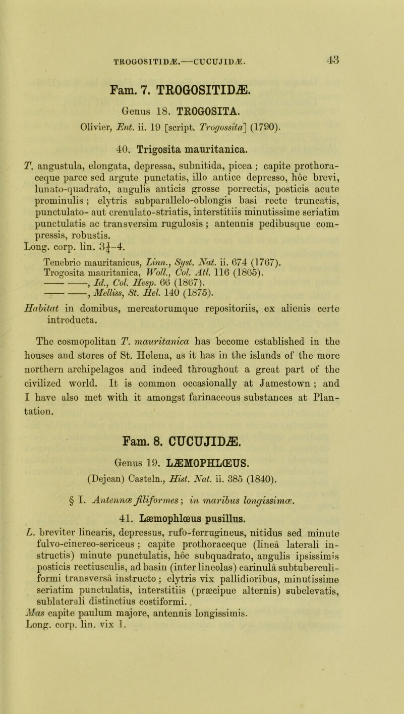 Fam. 7. TR0G0SITIM1. Genus 18. TROGOSITA. Olivier, Ent. ii. 19 [script. Trogossita] (1790). 40. Trigosita mauritanica. T. angustula, elongata, depressa, snbnitida, picea ; capite prothora- ceque parce sed argute punctatis, illo antice depresso, hoc brevi, lunato-quadrato, angulis anticis grosse porrectis, posticis acute prominulis; elytris subparallelo-oblongis basi recte truncatis, punctulato- aut crenulato-striatis, interstitiis minutissime seriatim punctulatis ac transversim rugulosis ; antennis pedibusque com- pressis, robustis. Long. corp. lin. 3|-4. Tenebrio mauritanicus, Linn., Syst. Nat. ii. 674 (1767). Trogosita mauritanica, Woil., Col. Atl. 116 (1865). , Id., Col. Hesp. 66 (1867). , Melliss, St. Eel. 140 (1875). Habitat in domibus, mercatorumque repositoriis, ex alienis certe introducta. The cosmopolitan T. mauritanica has become established in the houses and stores of St. Helena, as it has in the islands of the more northern archipelagos and indeed throughout a great part of the civilized world. It is common occasionally at Jamestown; and I have also met with it amongst farinaceous substances at Plan- tation. Fam. 8. CUCUJID^l. Genus 19. L^IMOPHLCEUS. (Dejean) Casteln., Hist. Nat. ii. 385 (1840). § I. Antennae jiliformes; in maribus longissimce. 41. Laemophloeus pusillus. L. breviter linearis, depressus, rufo-ferrugineus, nitidus sed minute fnlvo-cinereo-sericeus; capite prothoraceque (linea laterali in- structs) minute punctulatis, hoc subquadrato, angulis ipsissimis posticis rectiusculis, ad basin (inter lineolas) carinula subtuberculi- formi transversa instructo ; elytris vix pallidioribus, minutissime seriatim punctulatis, interstitiis (praecipue alternis) subelevatis, sublaterali distinctius costiformi. . Mas capite paulum majore, antennis longissimis. Long. corp. lin. vix 1.