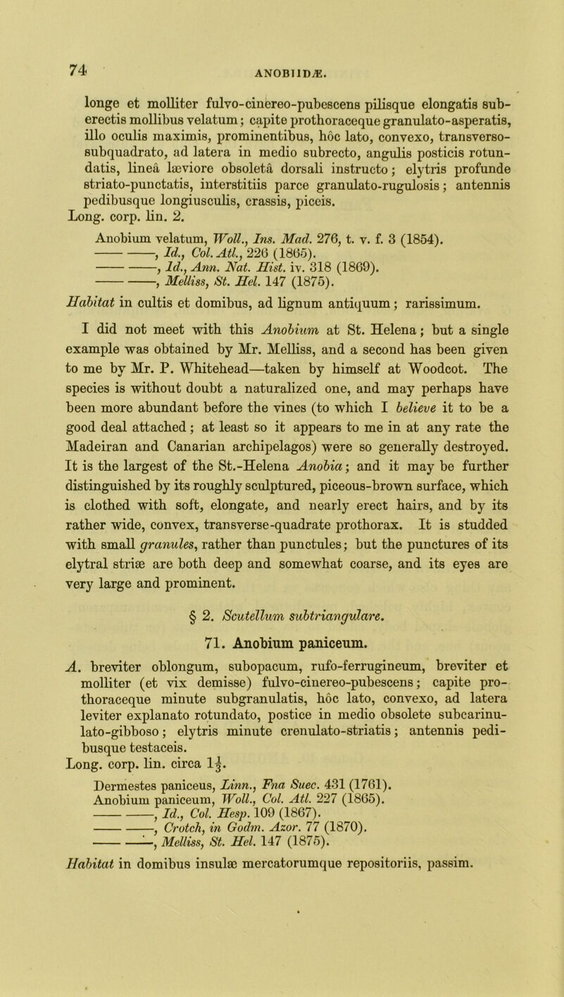 ANOBIIDjK. longe et molliter fulvo-cinereo-pubescens pilisque elongatis sub- erectis mollibus velatum; capite prothoraceque granulato-asperatis, illo oculis maximis, prominentibus, hoc lato, convexo, transverso- subquadrato, ad latera in medio subrecto, angulis posticis rotun- datis, linea laeviore obsoleta dorsali instructo; elytris profunde striato-punctatis, interstitiis parce granulato-rugulosis; antennis pedibusque longiusculis, crassis, piceis. Long. corp. lin. 2. Anobium velatum, Woll., Ins. Mad. 276, t. v. f. 3 (1854). , Id., Col.Atl., 226 (I860). , Id., Ann. Nat. Hist. iv. 318 (1869). , Melliss, St. Hel. 147 (1875). Habitat in cultis et domibus, ad lignum antiquum; rarissimum. I did not meet with this Anobium at St. Helena; but a single example was obtained by Mr. Melliss, and a second has been given to me by Mr. P. Whitehead—taken by himself at Woodcot. The species is without doubt a naturalized one, and may perhaps have been more abundant before the vines (to which I believe it to be a good deal attached; at least so it appears to me in at any rate the Madeiran and Canarian archipelagos) were so generally destroyed. It is the largest of the St.-Helena Anobia; and it may be further distinguished by its roughly sculptured, piceous-brown surface, which is clothed with soft, elongate, and nearly erect hairs, and by its rather wide, convex, transverse-quadrate prothorax. It is studded with small granules, rather than punctules; but the punctures of its elytral striae are both deep and somewhat coarse, and its eyes are very large and prominent. § 2. Scutellum subtriangulare. 71. Anobium paniceum. A. breviter oblongum, subopacum, rufo-ferrugineum, breviter et molliter (et vix demisse) fulvo-cinereo-pubescens; capite pro- thoraceque minute subgranulatis, hoc lato, convexo, ad latera leviter explanato rotundato, postice in medio obsolete subcarinu- lato-gibboso; elytris minute crenulato-striatis; antennis pedi- busque testaceis. Long. corp. lin. circa I5. Dermestes paniceus, Linn., Fna Suec. 431 (1761). Anobium paniceum, Woll., Col. Atl. 227 (1865). id., Col. Hesp. 109 (1867). , Crotch, in Godm. Azov. 77 (1870). —, Melliss, St. Hel. 147 (1875). Habitat in domibus insulae mercatorumque repositoriis, passim.