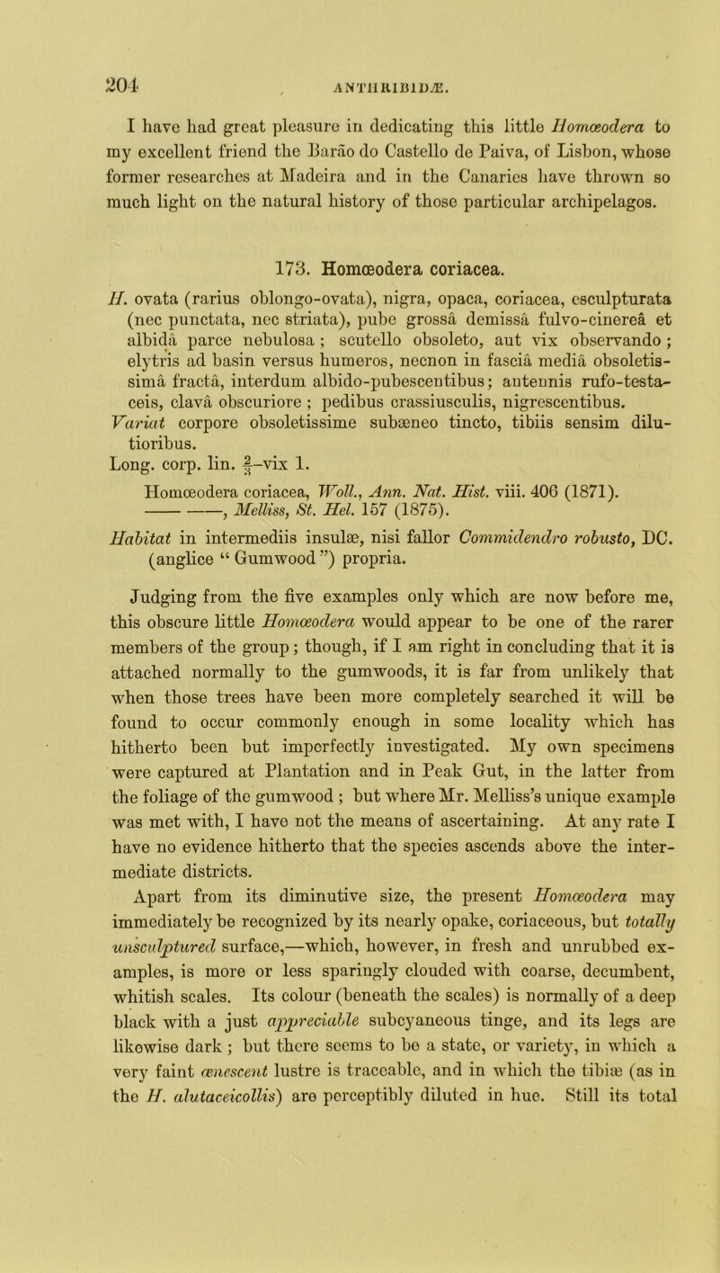 I have had great pleasure in dedicating this little IJornoeodera to my excellent friend the Barao do Castello de Paiva, of Lisbon, whose former researches at Madeira and in the Canaries have thrown so much light on the natural history of those particular archipelagos. 173. Homceodera coriacea. II. ovata (rarius oblongo-ovata), nigra, opaca, coriacea, esculpturata (nec punctata, nec striata), pube grossa demissa fulvo-cinerea et albida parce nebulosa ; scutello obsoleto, aut vix observando ; elytris ad basin versus humeros, necnon in fascia media obsoletis- sima fracta, interdum albido-pubescentibus; antennis rufo-testa- ceis, clava obscuriore ; pedibus crassiusculis, nigrescentibus. Varied corpore obsoletissime suboeneo tincto, tibiis sensim dilu- tioribus. Long. corp. lin. f-vix 1. Homoeodera coriacea, Woll., Ann. Nat. Hist. viii. 406 (1871). , Melliss, St. Hel. 157 (1875). Habitat in intermediis insulm, nisi fallor Commiclendro robnsto, DC. (anglice “ Gumwood ”) propria. Judging from the five examples only which are now before me, this obscure little Homoeodera would appear to be one of the rarer members of the group; though, if I am right in concluding that it is attached normally to the gumwoods, it is far from unlikely that when those trees have been more completely searched it will be found to occur commonly enough in some locality which has hitherto been but imperfectly investigated. My own specimens were captured at Plantation and in Peak Gut, in the latter from the foliage of the gumwood ; but where Mr. Melliss’s unique example was met with, I havo not the means of ascertaining. At any rate I have no evidence hitherto that the species ascends above the inter- mediate districts. Apart from its diminutive size, the present Homceodera may immediately be recognized by its nearly opake, coriaceous, but totally unsculptured surface,—which, however, in fresh and unrubbed ex- amples, is more or less sparingly clouded with coarse, decumbent, whitish scales. Its colour (beneath the scales) is normally of a deep black with a just appreciable subeyaneous tinge, and its legs are likewise dark ; but there seems to be a state, or variety, in whicli a very faint cenescent lustre is traceable, and in which the tibiae (as in the H. alutaceicollis) are perceptibly diluted in hue. Still its total