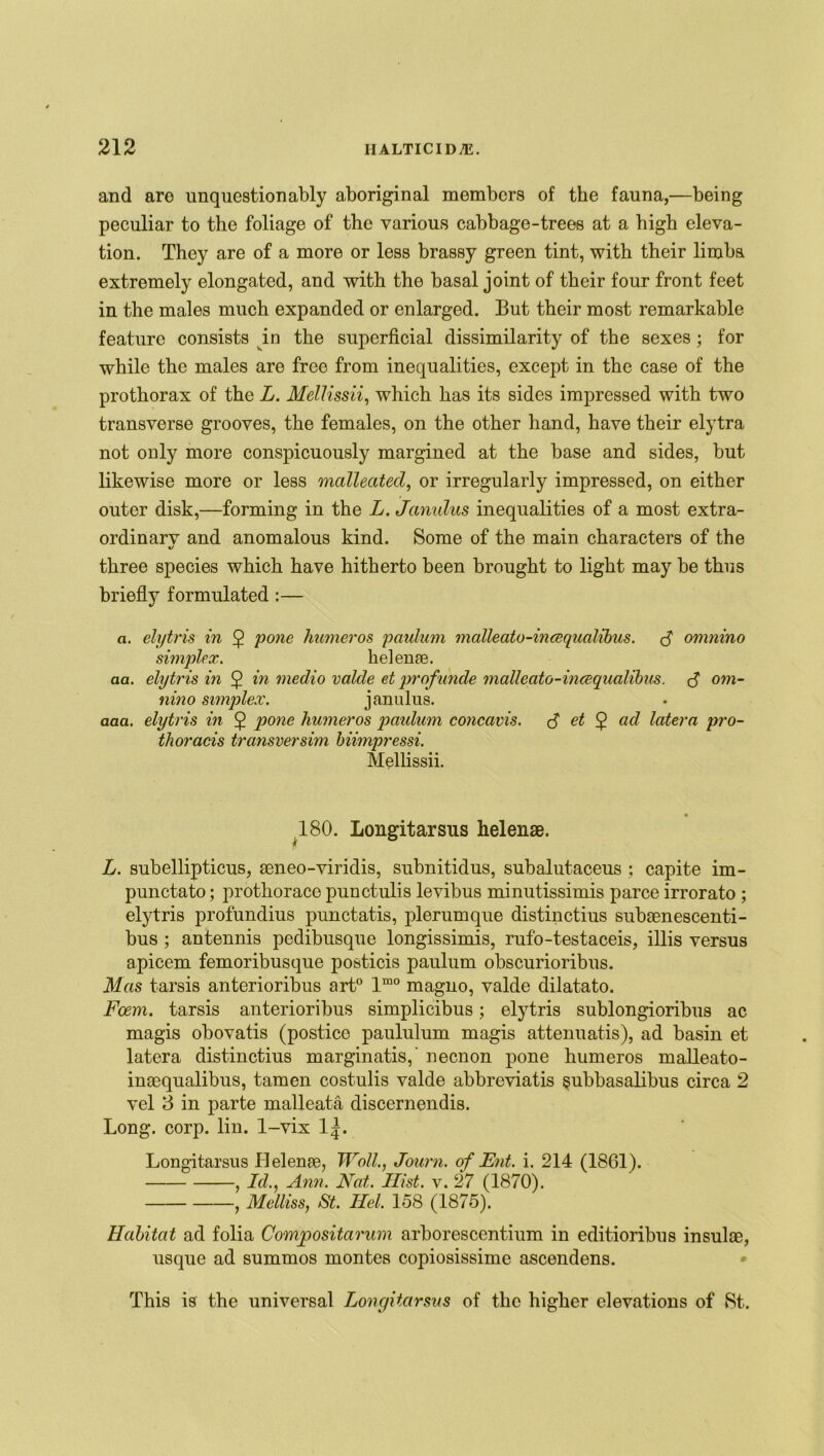 and aro unquestionably aboriginal members of the fauna,—being peculiar to the foliage of the various cabbage-trees at a high eleva- tion. They are of a more or less brassy green tint, with their limbs extremely elongated, and with the basal joint of their four front feet in the males much expanded or enlarged. But their most remarkable feature consists in the superficial dissimilarity of the sexes ; for while the males are free from inequalities, except in the case of the prothorax of the L. MelUssii, which has its sides impressed with two transverse grooves, the females, on the other hand, have their elytra not only more conspicuously margined at the base and sides, but likewise more or less malleated, or irregularly impressed, on either outer disk,—forming in the L. Janulus inequalities of a most extra- ordinarv and anomalous kind. Some of the main characters of the three species which have hitherto been brought to light may be thus briefly formulated :— a. elytris in 2 pone humeros paulum malleato-inceqnalibus. <$ omnino simplex. helenae. aa. elytris in 5 in medio valde et profunde malleato-inceqnalibus. d om- nino simplex. janulus. aaa. elytris in 5 pone humeros paulum concavis. et 5 od latera pro- thoracis transversim biimpressi. Mellissii. 180. Longitarsus helenae. L. subellipticus, aeneo-viridis, subnitidus, subalutaceus ; capite im- punctato; prothorace punctulis levibus minutissimis parce irrorato ; elytris profundius punctatis, plerumque distinctius subaenescenti- bus ; antennis pedibusque longissimis, rufo-testaceis, illis versus apicem femoribusque posticis paulum obscurioribus. Mas tarsis anterioribus art0 lmo magno, valde dilatato. Fcem. tarsis anterioribus simplicibus; elytris sublongioribus ac magis obovatis (posticc paululum magis attenuatis), ad basin et latera distinctius marginatis,' necnon pone humeros malleato- inaequalibus, tamen costulis valde abbreviatis §ubbasalibus circa 2 vel 3 in parte malleata discernendis. Long. corp. lin. 1-vix 1J. Longitarsus Helenae, Wall., Journ. of Ent. i. 214 (1861). , Id., Ann. Nat. Hist. v. 27 (1870). , Melliss, St. Hel. 158 (1875). Habitat ad folia Comjpositarum arborescentium in editioribus insulae, usque ad summos montes copiosissime ascendens. This is the universal Longitarsus of the higher elevations of St.