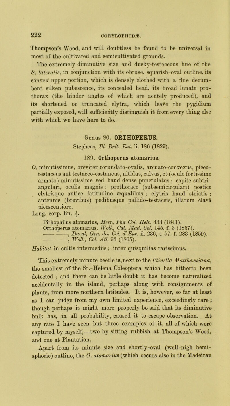 Thompson’s Wood, and will doubtless be found to be universal in most of the cultivated and semicultivated grounds. The extremely diminutive size and dusky-testaceous hue of the /S. lateralis, in conjunction with its obtuse, squarish-oval outline, its convex upper portion, which is densely clothed with a fine decum- bent silken pubescence, its concealed head, its broad lunate pro- thorax (the hinder angles of which are acutely produced), and its shortened or truncated elytra, which leave the pygidium partially exposed, will sufficiently distinguish it from every thing else with which we have here to do. Genus 80. ORTHOPERUS. Stephens, III. Brit. Ent. ii. 186 (1829). 189. Orthoperus atomarius. 0. minutissimus, breviter rotundato-ovalis, arcuato-convexus, piceo- testaceus aut testaceo-castaneus, nitidus, calvus, et (oculo fortissime armato) minutissime sed haud dense punctulatus ; capite subtri- angulari, oculis magnis ; prothorace (subsemicirculari) postice elytrisque antice latitudine aequalibus ; elytris haud striatis ; antennis (brevibus) pedibusque pallido-testaceis, illarum clava picescentiore. Long. corp. lin. |. Pithophilus atomarius, Heer, Fna Col. Helv. 433 (1841). Orthoperus atomarius, Woll., Cat. Mad. Col. 145. f. 3 (1857). , Duval, Gen. des Col. d'Eur. ii. 236, t. 57. f. 283 (1859). , Woll., Col. Atl. 93 (1865). Habitat in cultis intermediis ; inter quisquilias rarissimus. This extremely minute beetle is, next to the Ptinella Matthewsiana, the smallest of the St.-Helena Coleoptera which has hitherto been detected ; and there can be little doubt it has become naturalized accidentally in the island, perhaps along with consignments of plants, from more northern latitudes. It is, however, so far at least as I can judge from my own limited experience, exceedingly rare ; though perhaps it might more properly be said that its diminutive bulk has, in all probability, caused it to escape observation. At any rate I have seen but three examples of it, all of which were captured by myself,—two by sifting rubbish at Thompson’s Wood, and one at Plantation. Apart from its minute size and shortly-oval (well-nigh hemi- spheric) outline, the 0. atomarius (which occurs also in the Madeiran