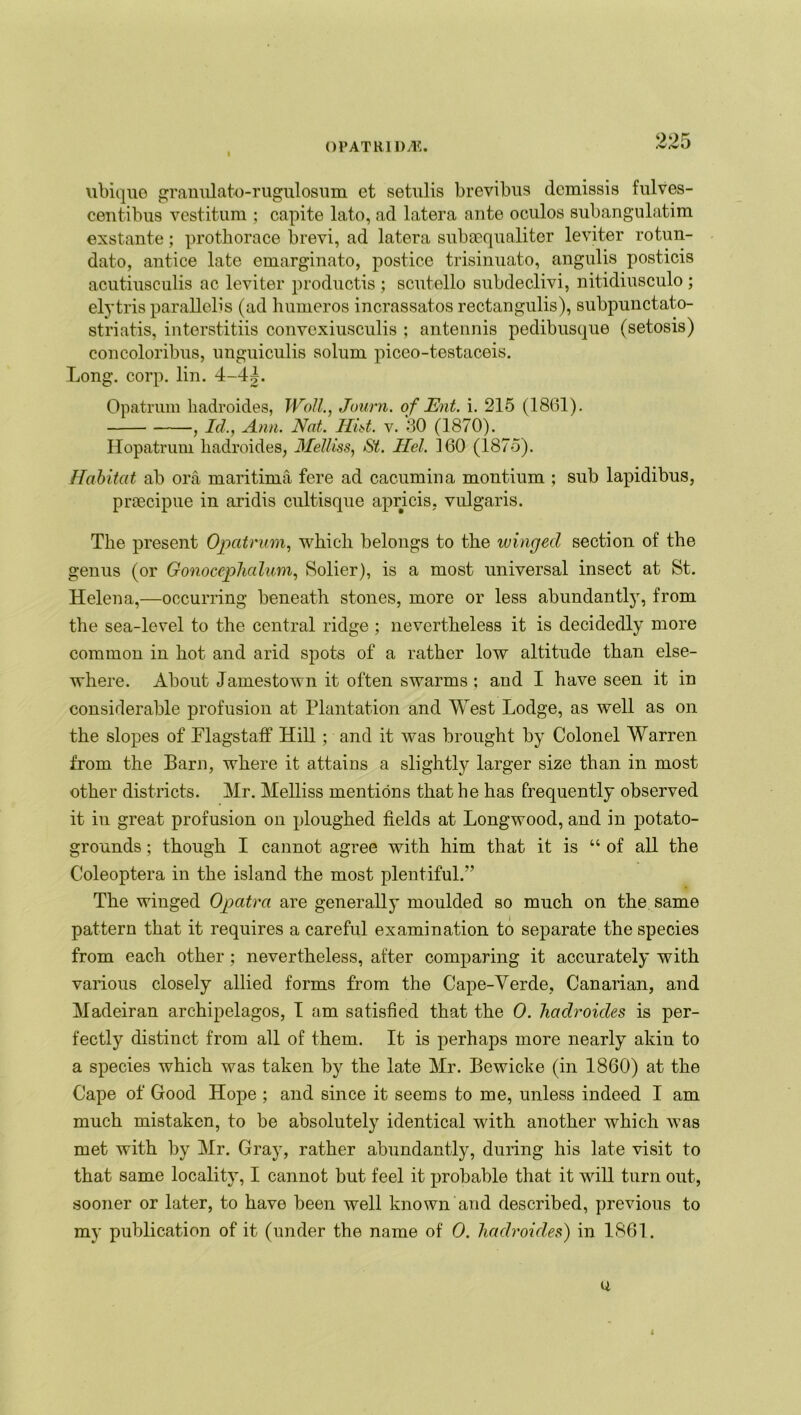 ubique granulato-rugulosum et setulis brevibus dcmissis fulves- centibus vestitum ; capite lato, ad latera ante oculos subangulatim exstante; prothorace brevi, ad latera subaequaliter leviter rotun- dato, antice late emarginato, postice trisinuato, angulis posticis acutiusculis ac leviter prodnctis ; scntello subdeclivi, nitidiusculo ; elytris parallclis (ad humeros incrassatos rectangulis), subpunctato- striatis, interstitiis convexiusculis ; antennis pedibusque (setosis) concoloribus, unguiculis solum piceo-testaceis. Long. corp. lin. 4-4J. Opatrum liadroides, Wall., Journ. of JEnt. i. 215 (1861). , Id., Ann. Nat. Hid. v. 30 (1870). Hopatrum liadroides, Melliss, Si. Hel. 160 (1875). Habitat ab ora maritima fere ad cacumina montium ; sub lapidibus, prsecipue in aridis cultisque apricis, vulgaris. The present Opatrum, which belongs to the winged section of the genus (or Gonocephalum, Solier), is a most universal insect at St. Helena,—occurring beneath stones, more or less abundantly, from the sea-level to the central ridge ; nevertheless it is decidedly more common in hot and arid spots of a rather low altitude than else- where. About Jamestown it often swarms ; and I have seen it in considerable profusion at Plantation and West Lodge, as well as on the slopes of Flagstaff Hill; and it was brought by Colonel Warren from the Barn, where it attains a slightly larger size than in most other districts. Mr. Melliss mentions that he has frequently observed it in great profusion on ploughed fields at Longwood, and in potato- grounds ; though I cannot agree with him that it is “ of all the Coleoptera in the island the most plentiful.'’ The winged Opatra are generally moulded so much on the same pattern that it requires a careful examination to separate the species from each other ; nevertheless, after comparing it accurately with various closely allied forms from the Cape-Verde, Canarian, and Madeiran archipelagos, I am satisfied that the 0. liadroides is per- fectly distinct from all of them. It is perhaps more nearly akin to a species which was taken by the late Mr. Bewicke (in 1860) at the Cape of Good Hope ; and since it seems to me, unless indeed I am much mistaken, to be absolutely identical with another which was met with by Mr. Gray, rather abundantly, during his late visit to that same locality, I cannot but feel it probable that it will turn out, sooner or later, to have been well known and described, previous to my publication of it (under the name of 0. liadroides) in 1861. u i