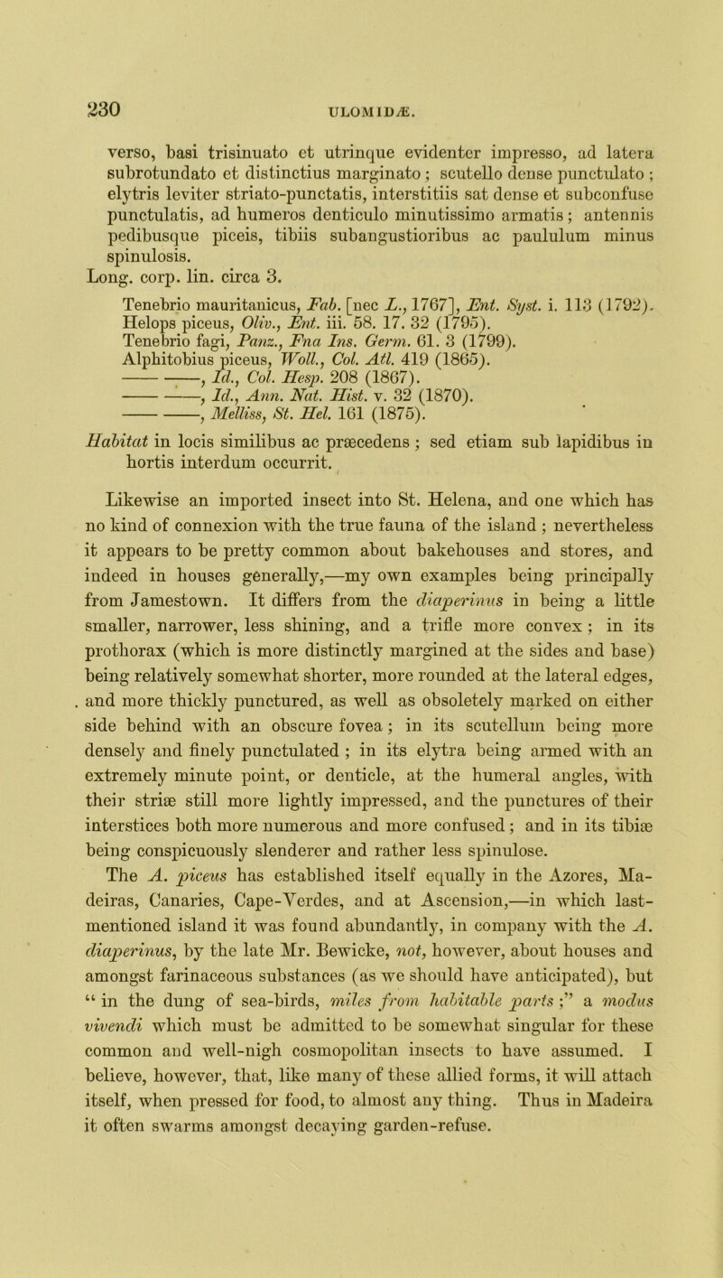 verso, basi trisinuato et utrinque evidenter impresso, ad latera subrotundato et distinctius marginato ; scutello dense punctulato ; elytris leviter striato-punctatis, interstitiis sat dense et subconfuse punctulatis, ad humeros denticulo minutissimo armatis; antennis pedibusque piceis, tibiis subangustioribus ac paululum minus spinulosis. Long. corp. lin. circa 3. Tenebrio mauritanicus, Fab. [nec L., 1767], Ent. Syst. i. 113 (1792). Helops piceus, Oliv., Ent. iii. 58. 17. 32 (1795). Tenebrio fagi, Panz., Ena Ins. Germ. 61. 3 (1799). Alphitobius piceus, Woll., Col. All. 419 (1865). —, Id., Col. Hesp. 208 (1867). , Icl., Ann. Nat. Hist. v. 32 (1870). , Melliss, St. Hel. 161 (1875). Habitat in locis similibus ac prsecedens ; sed etiam sub lapidibus in bortis interdum occurrit. I Likewise an imported insect into St. Helena, and one which has no kind of connexion with the true fauna of the island ; nevertheless it appears to be pretty common about bakehouses and stores, and indeed in houses generally,—my own examples being principally from Jamestown. It differs from the diaperinus in being a little smaller, narrower, less shining, and a trifle more convex ; in its prothorax (which is more distinctly margined at the sides and base) being relatively somewhat shorter, more rounded at the lateral edges, and more thickly punctured, as well as obsoletely marked on either side behind with an obscure fovea; in its scutellum being more densely and finely punctulated ; in its elytra being armed with an extremely minute point, or denticle, at the humeral angles, with their striae still more lightly impressed, and the punctures of their interstices both more numerous and more confused; and in its tibiae being conspicuously slenderer and rather less spinulose. The A. piceus has established itself equally in the Azores, Ha- deiras, Canaries, Cape-Verdes, and at Ascension,—in which last- mentioned island it was found abundantly, in company with the A. diaperinus, by the late Mr. Lewicke, not, however, about houses and amongst farinaceous substances (as we should have anticipated), but “ in the dung of sea-birds, miles from habitable parts a modus vivendi which must be admitted to be somewhat singular for these common and well-nigh cosmopolitan insects to have assumed. I believe, however, that, like many of these allied forms, it will attach itself, when pressed for food, to almost any thing. Thus in Madeira it often swarms amongst decaying garden-refuse.