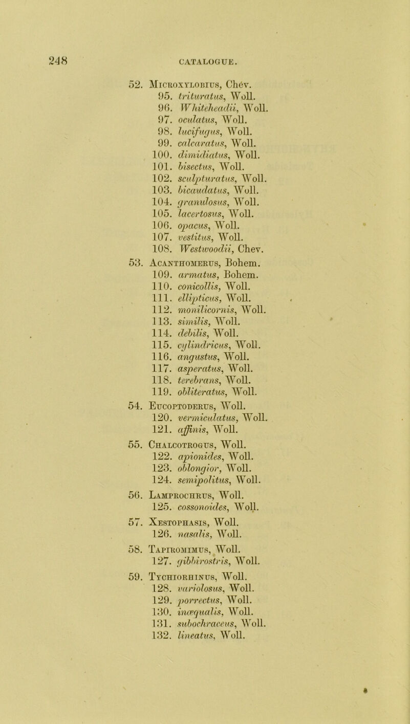 52. Microxylobius, Ch6v. 95. trituratus, Woll. 96. Whiteheaclii, Woll. 97. ocalatus, Woll. 98. lucifugus, Woll. 99. calcaratus, Woll. 100. dimidiatus, Woll. 101. bisectus, Woll. 102. sculpturatus, Woll. 103. bicaudatus, Woll. 104. granulosus, Woll. 105. lacertosus, Woll. 106. opacus, Woll. 107. vestitus, Woll. 108. TFtfstfwoocfoV, Chev. 53. Acanthomertjs, Bohem. 109. armatus, Bohem. 110. conicollis, Woll. 111. ellipticus, Woll. 112. monilicornis, Woll. 113. similis, Woll. 114. Woll. 115. cylindricus, Woll. 116. angustns, Woll. 117. asperatus, Woll. 118. terebrans, Woll. 119. obliteratus, Woll. 54. Etjcoptoderus, Woll. 120. vermiculatus, Woll. 121. ajffinis, Woll. 55. Chalcotrogtjs, Woll. 122. apionides, Woll. 123. oblongior, Woll. 124. semipolitus, Woll. 56. Lamprochrus, Woll. 125. cossonoules, Woll. 57. Xestophasis, Woll. 126. nasalis, Woll. 58. Tapiromimus, Woll. 127. gibbirostris, Woll. 59. Tychiorhinus, Woll. 128. variolosus, Woll. 129. porrectus, Woll. 130. incequalls, Woll. 131. subochraceus, Woll. 132. lineatus, Woll.