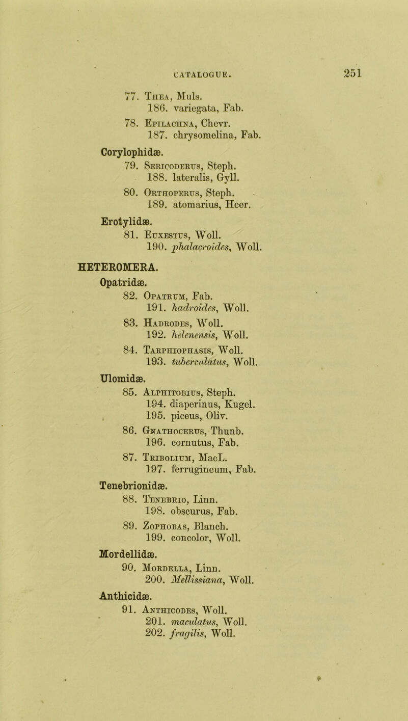 77. Thea, Muls. 186. variegata, Fab. 78. Etilaciina, Chevr. 187. chrysomelina, Fab. Corylophidae. 79. Sericodertjs, Steph. 188. lateralis, Gy 11. 80. OrtfiopErtjs, Steph. 189. atomarius, Heer. Erotylidae. 81. Euxestus, Woll. 190. phalacroides, Woll, HETEROMERA. Opatridas. 82. Opatrum, Fab. 191. haclroicles, Woll. 83. Hadrodes, Woll. 192. Jielenensis, Woll. 84. Tarphiophasis, Woll. 193. tuberculatus, Woll. Ulomidae. 85. Alphitobius, Steph. 194. diaperinus, Kugel. 195. piceus, Oliv. 86. Gnathocerus, Thnnb, 196. cornutus, Fab. 87. Triboliijm, MacL. 197. ferrugineum, Fab. Tenebrionidae. 88. Tenebrio, Linn. 198. obscurus, Fab. 89. Zophobas, Blanch. 199. concolor, Woll. Mordellidae. 90. Mordella, Linn. 200. MeUissiana, Woll. Anthicidae. 91. Anthicodes, Woll. 201. maculatus, Woll. 202. fmcjilis, Woll.