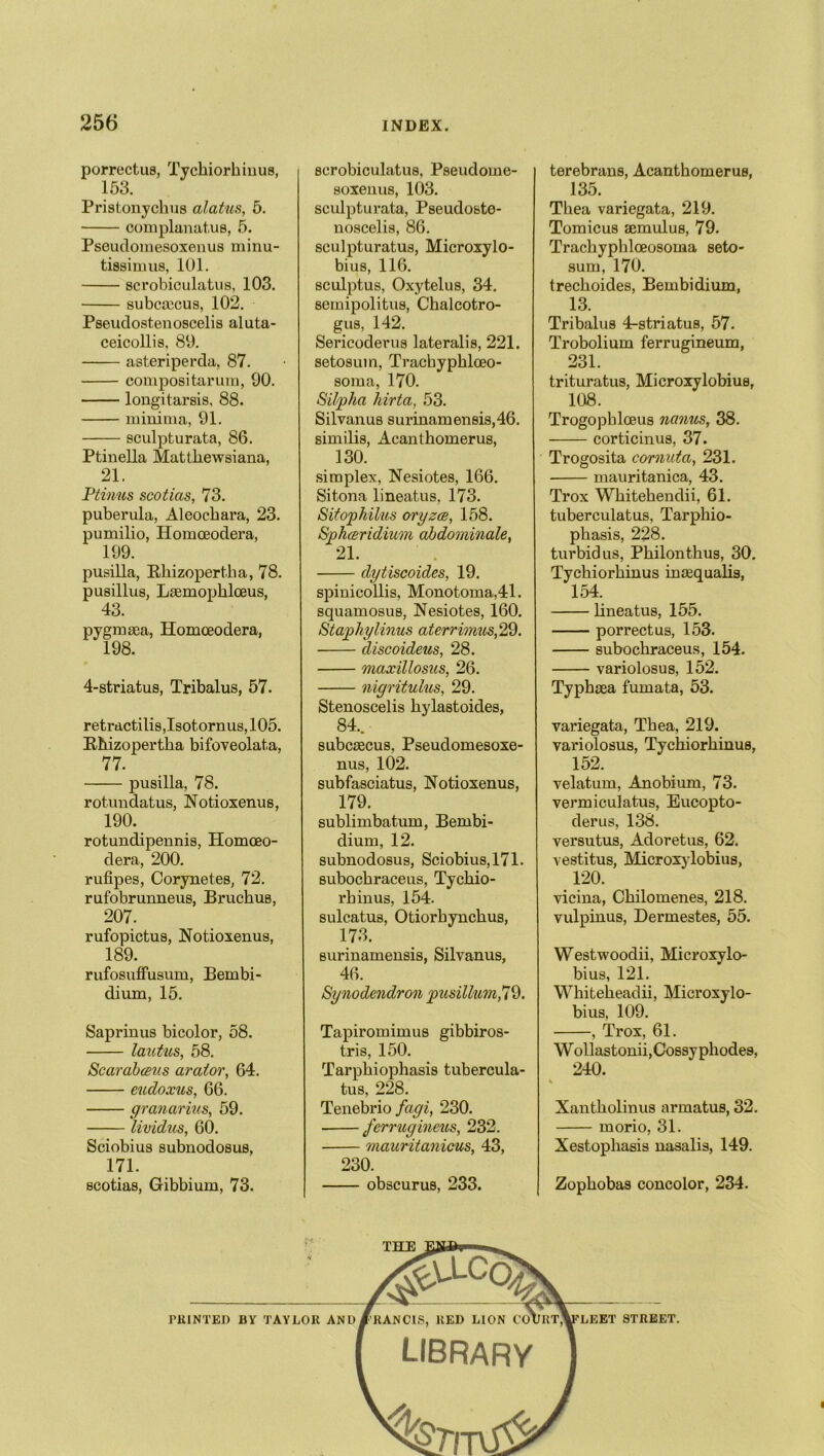 porrectus, Tyckiorhinus, 153. Pristonyclms alatics, 5. complanatus, 5. Pseudomesoxenus minu- tissimus, 101. scrobiculatus, 103. subcaicus, 102. Pseudostenoscelis aluta- ceicollis. 89. asteriperda, 87. compositarum, 90. longitarsis, 88. minima, 91. sculpturata, 86. Ptinella Mattkewsiana, 21. Ptinus scotias, 73. puberula, Aleockara, 23. pumilio, Homoeodera, 199. pusilla, Rkizopertka, 78. pusillus, Laemopkloeus, 43. pygmaea, Homoeodera, 198. 4-striatus, Tribalus, 57. retractilis,Isotornus, 105. Rkizopertka bifoveolata, 77. pusilla, 78. rotundatus, Notioxenus, 190. rotundipennis, Homceo- dera, 200. rufipes, Corynetes, 72. rufobrunneus, Bruckus, 207. rufopictus, Notioxenus, 189. rufosufFusum, Bembi- dium, 15. Saprinus bicolor, 58. lautus, 58. Scarabceus aralor, 64. eudoxus, 66. granarius, 59. lividus, 60. Sciobius subnodosus, 171. scotias, Gibbium, 73. scrobiculatus, Pseudome- soxenus, 103. sculpturata, Pseudoste- noscelis, 86. sculpturatus, Microxylo- bius, 116. sculptus, Oxytelus, 34. semipolitus, Clialcotro- gus, 142. Sericoderus lateralis, 221. setosuin, Trachypkloeo- soma, 170. Silpha hirta, 53. Silvanus surinamensis,46. similis, Acanthomerus, 130. simplex, Nesiotes, 166. Sitona lineatus, 173. Sitophilus oryzce, 158. Sphcsridium abdominale, 21. dytiscoides, 19. spinicollis, Monotonia,41. squamosus, Nesiotes, 160. Staphylinus aterrvmis, 29. discoideus, 28. maxillosus, 26. nigritulus, 29. Stenoscelis kylastoides, 84.. subcaecus, Pseudomesoxe- nus, 102. subfasciatus, Notioxenus, 179. sublimbatum, Bembi- dium, 12. subnodosus, Sciobius,171. subockraceus, Tyckio- rbinus, 154. sulcatus, Otiorhynckus, 173. surinamensis, Silvanus, 46. Synodendron pusillmn^Q. Tapiromimus gibbiros- tris, 150. Tarpkiophasis tubercula- tus, 228. Tenebrio fagi, 230. ferrugineus, 232. mauritanicus, 43, 230. obscurus, 233. terebrans, Acanthomerus, 135. Thea variegata, 219. Tomicus aemulus, 79. Trackyphloeosoma seto- sum, 170. treckoides, Bembidium, 13. Tribalus 4-striatus, 57. Trobolium ferrugineum, 231. trituratus, Microxylobius, 108. Trogopbloeus nanus, 38. corticinus, 37. Trogosita cornuta, 231. mauritanica, 43. Trox Wkitekendii, 61. tuberculatus, Tarpkio- pkasis, 228. turbid us, Pkilonthus, 30. Tychiorkinus incequalis, 154. lineatus, 155. porrectus, 153. subockraceus, 154. variolosus, 152. Typkaea fumata, 53. variegata, Thea, 219. variolosus, Tyckiorkinus, 152. velatum, Anobium, 73. vermiculatus, Eucopto- derus, 138. versutus, Adoretus, 62. vestitus, Microxylobius, 120. vicina, Ckilomenes, 218. vulpinus, Dermestes, 55. Westwoodii, Microxylo- bius, 121. Whitekeadii, Microxylo- bius, 109. , Trox, 61. Wollastonii.Cossypkodes, 240. Xantkolinus armatus, 32. morio, 31. Xestopliasis nasalis, 149. Zopkobas concolor, 234. LIBRARY %7m(£ rUINTEI) BY TAYLOlt AND/'RANC1S, KED LION COU1{T,\fLEET STREET THE