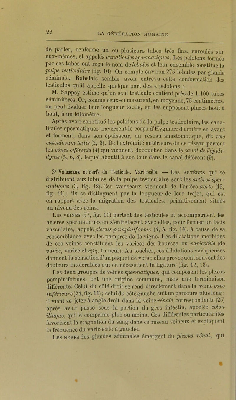 de parler, renferme un ou plusieurs tubes très fins, enroulés sur eux-mêmes, et appelés canaliculesspermatiques. Les pelotons formés par ces tubes ont reçu le nom de lobules et leur ensemble constitue la pulpe testiculaire (0^. 10}. On compte environ 275 lobules par glande séminale. Rabelais semble avoir entrevu cette conformation des testicules qu’il appelle quelque part des « pelotons ». M. Sappey estime qu’un seul testicule contient près de 1,100 tubes séminifères. Or, comme ceux-ci mesurent, en moyenne, 75 centimètres, on peut évaluer leur longueur totale, en les supposant placés bout à bout, à un kilomètre. Après avoir constitué les pelotons de la pulpe testiculaire, les cana- licules spermatiques traversent le corps d’Hygmore d’arrière en avant et forment, dans son épaisseur, un réseau anastomotique, dit rete vasculosum testis (2, 3). De l’extrémité antérieure de ce réseau partent les cônes efférents (4) qui viennent déboucher dans le canal de l'épidi- dyme (5, 6, 8), lequel aboutit à son tour dans le canal déférent (9). 3“ Vaisseaux et nerfs du Testicule. Varicocèle. — Les artères qui se distribuent aux lobules de la pulpe testiculaire sont les artères sper- matiques (3, flg. 12). Ces vaisseaux viennent de l’artère aorte (12, fig. 11) ; ils se distinguent par la longueur de leur trajet, qui est en rapport avec la migration des testicules, primitivement situés au niveau des reins. Les VEINES (27, flg. 11) partent des testicules et accompagnent les artères spermatiques en s’entrelaçant avec elles, pour former un lacis vasculaire, plexuspampiniforme (4, 5, flg. 14), à cause de sa ressemblance avec les pampres de la vigne. Les dilatations morbides de ces veines constituent les varices des bourses ou varicocèle (de varix, varice et xtIXt), tumeur). Au toucher, ces dilatations variqueuses donnent la sensation d’un paquet de vers ; elles provoquent souvent des douleurs intolérables qui en nécessitent la ligature (flg. 12, 13). Les deux groupes de veines spermatiques., qui composent les plexus pampiniformes, ont une origine commune, mais une terminaison différente. Celui du côté droit se rend directement dans la veine cave inférieure (24, flg. 11) ; celui du côté gauche suit un parcours plus long : il vient se jeter à angle droit dans la veinerena^e correspondante (25) après avoir passé sous la portion du gros intestin, appelée colon iliaque, qui le comprime plus ou moins. Ces différentes particularités favorisent la stagnation du sang dans ce réseau veineux et expliquent la fréquence du varicocèle à gauche. Les NERFS des glandes séminales émergent du plexus rénal, qui