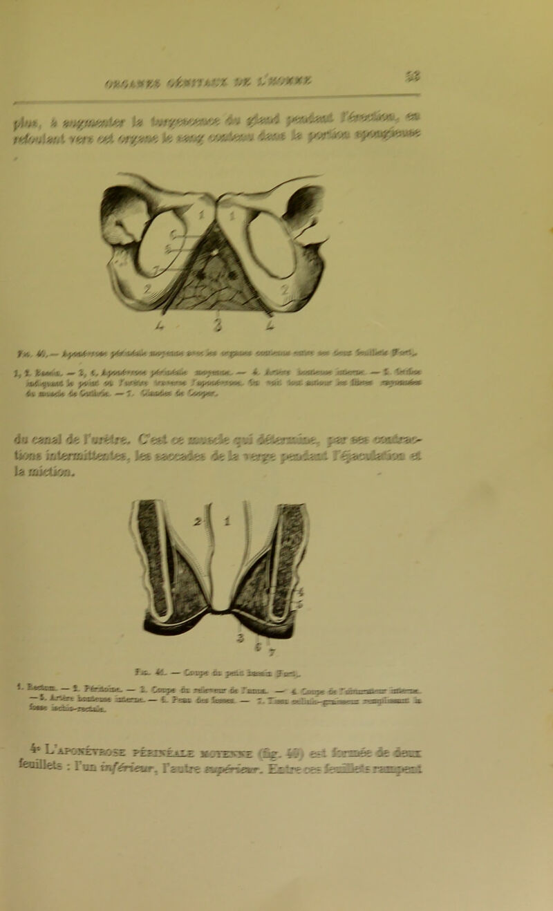 ur, %n'/uur. f,h* ’4 ' ^ fh*^iiM>. «a. t*^/'Asfui y*!*t V; */aA>x~ v '‘^laA. )z« ‘/zT^zx', 4 3 it f » ^(t,^ kyu^^v^ yU44e4*. «««««m v*^-? M»i-«nd ««)•«; <m <•««( fcmiljn 1, t. liMM, <— 2, t, h-y^iyf'tv>4 yhta*4i*i am^uiiM - —' 4. tn^m itcttr~i4 — { \Kiirtt «bft/fuM* k >>(>ke «V twf*K v»»«r*t: ,'aÿ/fiu(»na« ^ &vi. auK>4nr «« Ctm* stMinati» «n*«k «t Cndkk -—’ 7. VxiMct C* Ui^, do C^f^U>J d*: r0/*Are- C*56t <3*: fiUvVjk: ^ «5t iVKA k* «>tts»d*5i 4»: Isf y^xxtxsi, ïii^ieey^'xjaii *1 lü> oïktk/a« fit. — <irx9« ta j«w: iaMix. ïart^ 1- &«ft«3L- — î. P4rjScâx^ — Z- Coc^ ta ?iüp»înr « Tsma. — 4. ^ —S. Ajvr» îinEil«xa« iic«na. — <4 ?*«» ôss itMK — 1. Xme 1 jrâo^zKtaût. 4* L APojfÉTBOîE PÉ?TXF»T^7 jt'TTEyyz <â?. e^i Icrsafe fc âaci 1 ^ tnférieur. T hxi\r^ evpériaicr. Extrr oîs J3ti3i!Î£ z^ssixysil.