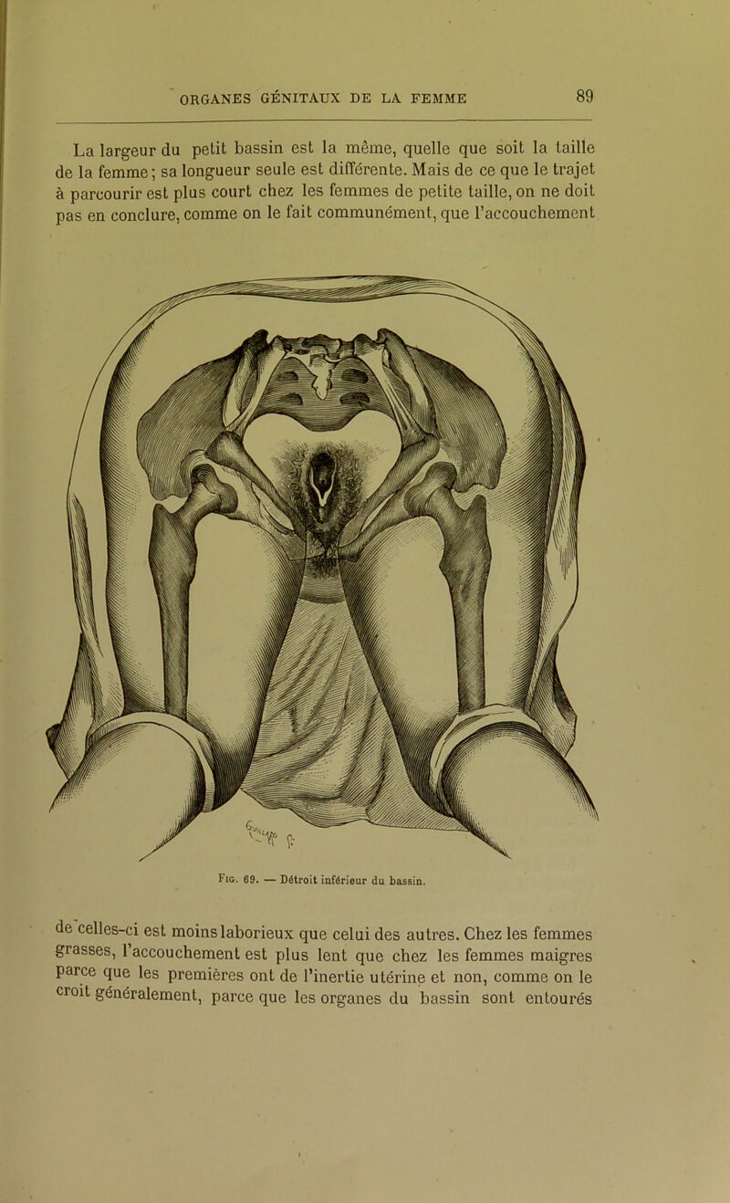 La largeur du petit bassin est la même, quelle que soit la taille de la femme; sa longueur seule est différente. Mais de ce que le trajet à parcourir est plus court chez les femmes de petite taille, on ne doit pas en conclure, comme on le fait communément, que l’accouchement Fig. 69. — Détroit iaférieur du bassin. de celles-ci est moins laborieux que celui des autres. Chez les femmes grasses, l’accouchement est plus lent que chez les femmes maigres parce que les premières ont de l’inertie utérine et non, comme on le croit généralement, parce que les organes du bassin sont entourés