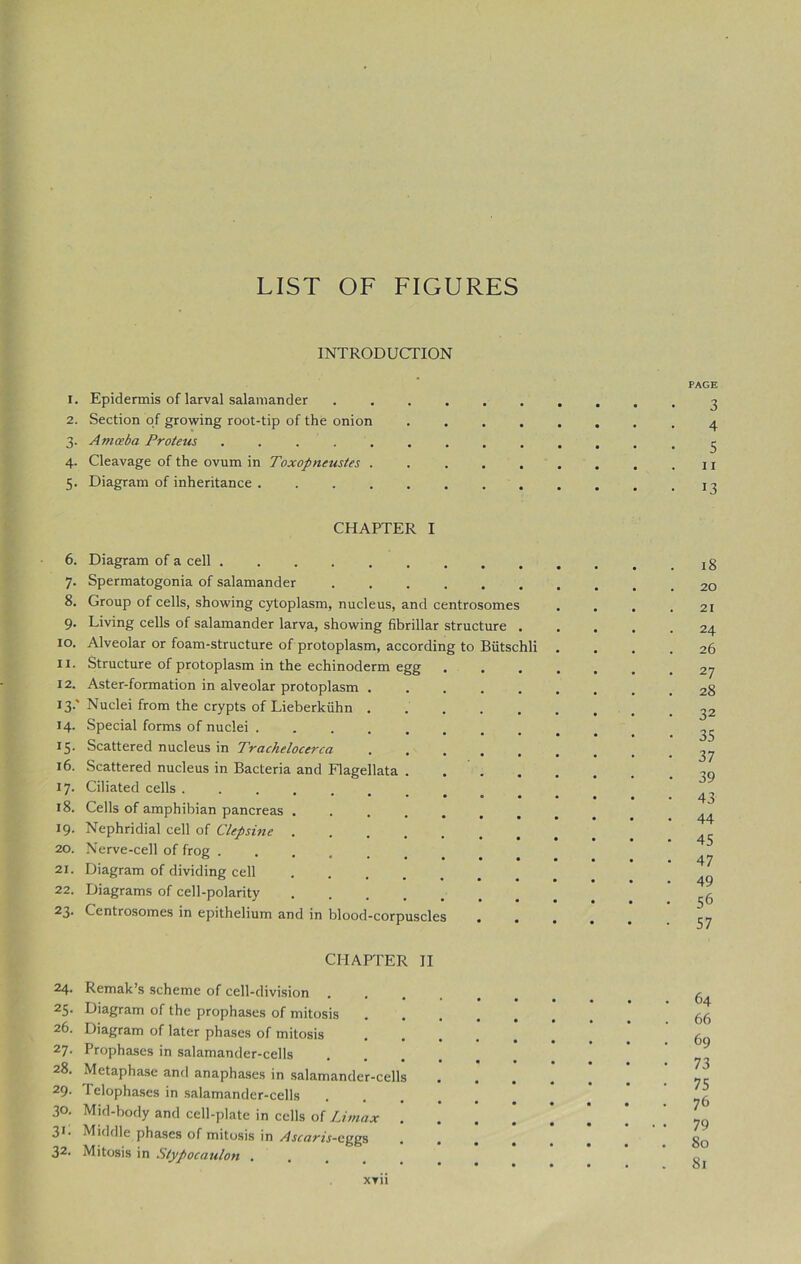 LIST OF FIGURES INTRODUCTION 1. Epidermis of larval salamander 2. Section of growing root-tip of the onion .... 3. Amceba Proteus 4. Cleavage of the ovum in Toxopneustes ..... 5. Diagram of inheritance CHAPTER I 6. Diagram of a cell 7. Spermatogonia of salamander 8. Group of cells, showing cytoplasm, nucleus, and centrosomes 9. Living cells of salamander larva, showing fibrillar structure . 10. Alveolar or foam-structure of protoplasm, according to Biitschli 11. Structure of protoplasm in the echinoderm egg 12. Aster-formation in alveolar protoplasm 13. ' Nuclei from the crypts of Lieberkiihn ..... 14. Special forms of nuclei ........ 15. Scattered nucleus in Trachelocerca 16. Scattered nucleus in Bacteria and Flagellata . . . 17. Ciliated cells . 18. Cells of amphibian pancreas ..... 19. Nephridial cell of Clepsine 20. Nerve-cell of frog ..... 21. Diagram of dividing cell .... 22. Diagrams of cell-polarity 23. Centrosomes in epithelium and in blood-corpuscles . . CHAPTER II 24. Remak’s scheme of cell-division 25- Diagram of the prophases of mitosis 26. Diagram of later phases of mitosis 27. Prophases in salamander-cells 28. Metaphase and anaphases in salamander-cells 29. Telophases in salamander-cells 30. Mid-body and cell-plate in cells of Umax .... 3,: Middle phases of mitosis in Ascaris-eggs .... 32' Mitosis in Stypocaulon .... xvii PAGE 3 4 5 11 13 18 20 21 24 26 27 28 32 35 37 39 43 44 45 47 49 56 57 64 66 69 73 75 76 79 80 81