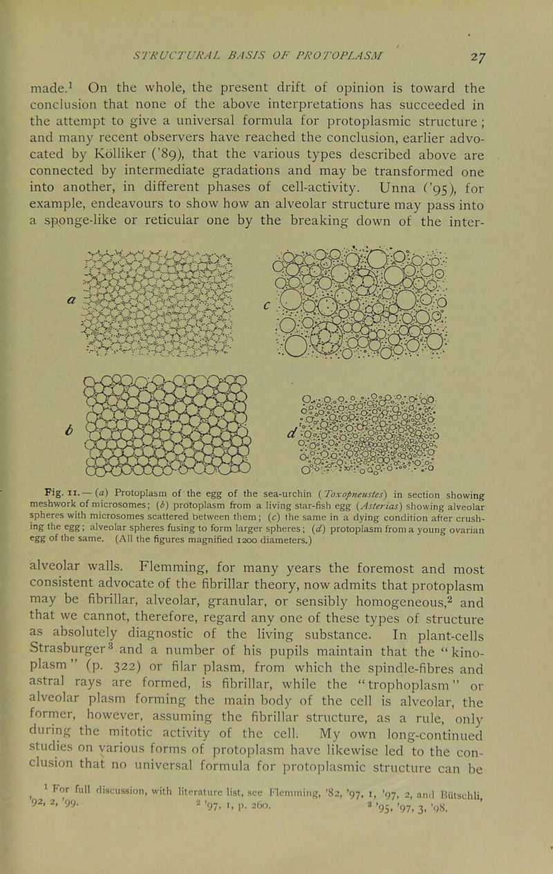 made.1 On the whole, the present drift of opinion is toward the conclusion that none of the above interpretations has succeeded in the attempt to give a universal formula for protoplasmic structure ; and many recent observers have reached the conclusion, earlier advo- cated by Kolliker (’89), that the various types described above are connected by intermediate gradations and may be transformed one into another, in different phases of cell-activity. Unna (’95), for example, endeavours to show how an alveolar structure may pass into a sponge-like or reticular one by the breaking down of the inter- Fig. 11.— (a) Protoplasm of the egg of the sea-urchin (Toxopneustes) in section showing meshwork of microsomes; (b) protoplasm from a living star-fish egg (Asterias) showing alveolar spheres with microsomes scattered between them; (c) the same in a dying condition after crush- ing the egg; alveolar spheres fusing to form larger spheres; (d) protoplasm from a young ovarian eSS °f the same. (All the figures magnified 1200 diameters.) alveolar walls. Flemming, for many years the foremost and most consistent advocate of the fibrillar theory, now admits that protoplasm may be fibrillar, alveolar, granular, or sensibly homogeneous,2 and that we cannot, therefore, regard any one of these types of structure as absolutely diagnostic of the living substance. In plant-cells Strasburger3 and a number of his pupils maintain that the “kino- plasm ’ (p. 322) or filar plasm, from which the spindle-fibres and astral rays are formed, is fibrillar, while the “ trophoplasm ” or alveolar plasm forming the main body of the cell is alveolar, the former, however, assuming the fibrillar structure, as a rule, only during the mitotic activity of the cell. My own long-continued studies on various forms of protoplasm have likewise led to the con- clusion that no universal formula for protoplasmic structure can be , 1 l or discussion, with literature list, see Flemming, ’82, ’97, 1, ’97, 2, and Biitschli 92’ 2’ 2 ’97- '■ P- 260. 8 >95( >97i 3> .98>