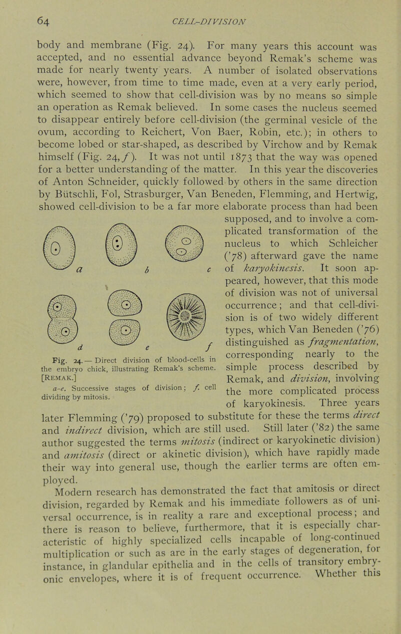 body and membrane (Fig. 24). For many years this account was accepted, and no essential advance beyond Remak’s scheme was made for nearly twenty years. A number of isolated observations were, however, from time to time made, even at a very early period, which seemed to show that cell-division was by no means so simple an operation as Remak believed. In some cases the nucleus seemed to disappear entirely before cell-division (the germinal vesicle of the ovum, according to Reichert, Von Baer, Robin, etc.); in others to become lobed or star-shaped, as described by Virchow and by Remak himself (Fig. 24,/). It was not until 1873 that the way was opened for a better understanding of the matter. In this year the discoveries of Anton Schneider, quickly followed by others in the same direction by Biitschli, Fol, Strasburger, Van Beneden, Flemming, and Hertwig, showed cell-division to be a far more elaborate process than had been supposed, and to involve a com- plicated transformation of the nucleus to which Schleicher (’78) afterward gave the name of karyokinesis. It soon ap- peared, however, that this mode of division was not of universal occurrence; and that cell-divi- sion is of two widely different types, which Van Beneden (’76) distinguished as fragmentation, corresponding nearly to the simple process described by Remak, and division, involving the more complicated process of karyokinesis. Three years later Flemming (’79) proposed to substitute for these the teims direct and indirect division, which are still used. Still later (82) the same author suggested the terms mitosis (indirect or karyokinetic division) and amitosis (direct or akinetic division), which have rapidly made their way into general use, though the earlier terms are often em- ployed. Modern research has demonstrated the fact that amitosis or direct division, regarded by Remak and his immediate followers as of uni- versal occurrence, is in reality a rare and exceptional piocess, and there is reason to believe, furthermore, that it is especially char- acteristic of highly specialized cells incapable of long-continued multiplication or such as are in the early stages of degeneration, 01 instance, in glandular epithelia and in the cells of transitory embry- onic envelopes, where it is of frequent occurrence. Whether this Fig. 24. — Direct division of blood-cells in the embryo chick, illustrating Remak’s scheme. [Remak.] a-e. Successive stages of division; f. cell dividing by mitosis.