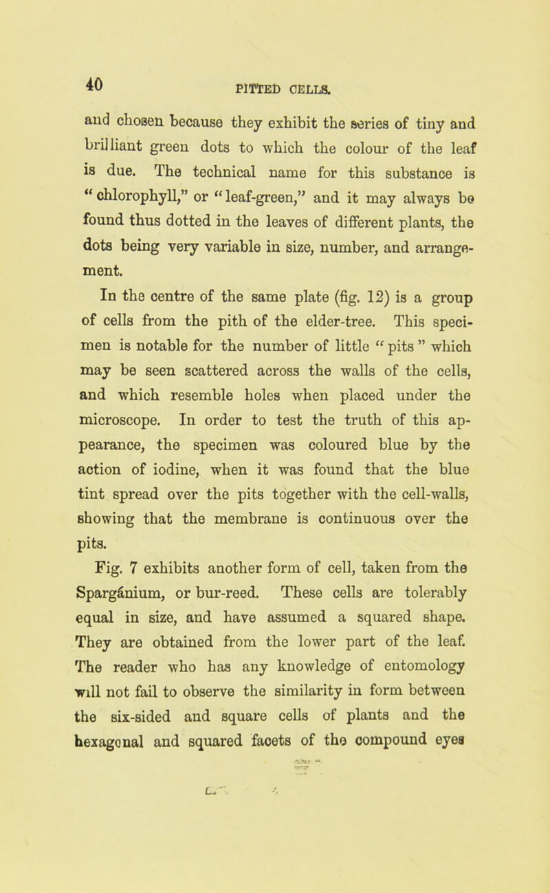 PITIED CELIA and cliosen because they exhibit the series of tiny and brilliant green dots to which the colour of the leaf is due. The technical name for this substance is “ chlorophyll,” or “ leaf-green,’' and it may always be found thus dotted in the leaves of different plants, the dots being very variable in size, number, and arrange- ment. In the centre of the same plate (fig. 12) is a group of cells from the pith of the elder-tree. This speci- men is notable for the number of little “ pits ” which may be seen scattered across the walls of the cells, and which resemble holes when placed under the microscope. In order to test the truth of this ap- pearance, the specimen was coloured blue by the action of iodine, when it was found that the blue tint spread over the pits together with the cell-walls, showing that the membrane is continuous over the pits. Fig. 7 exhibits another form of cell, taken from the Sparganium, or bur-reed. These cells are tolerably equal in size, and have assumed a squared shape. They are obtained from the lower part of the leaf. The reader who has any knowledge of entomology will not fail to observe the similarity in form between the six-sided and square cells of plants and the hexagonal and squared facets of the compound eyes L. 