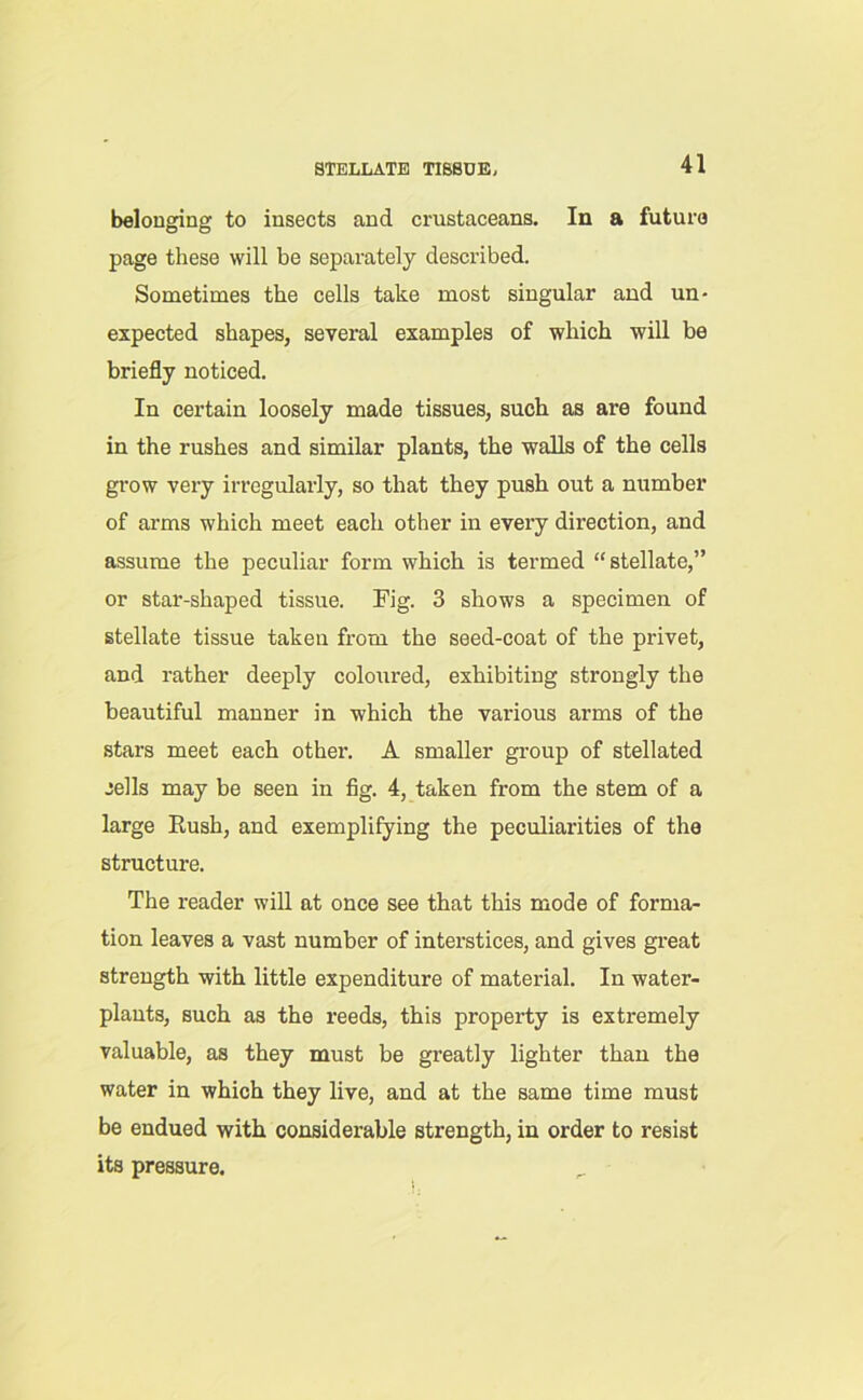 STELLATE TISSUE, belonging to insects and crustaceans. In a future page these will be separately described. Sometimes the cells take most singular and un- expected shapes, several examples of which will be briefly noticed. In certain loosely made tissues, such as are found in the rushes and similar plants, the walls of the cells grow very irregularly, so that they push out a number of arms which meet each other in every direction, and assume the peculiar form which is termed “stellate,” or star-shaped tissue. Fig. 3 shows a specimen of stellate tissue taken from the seed-coat of the privet, and rather deeply coloured, exhibiting strongly the beautiful manner in which the various arms of the stars meet each other. A smaller group of stellated jells may be seen in fig. 4, taken from the stem of a large Rush, and exemplifying the peculiarities of the structure. The reader will at once see that this mode of forma- tion leaves a vast number of interstices, and gives great strength with little expenditure of material. In water- plants, such as the reeds, this property is extremely valuable, as they must be greatly lighter than the water in which they live, and at the same time must be endued with considerable strength, in order to resist its pressure.