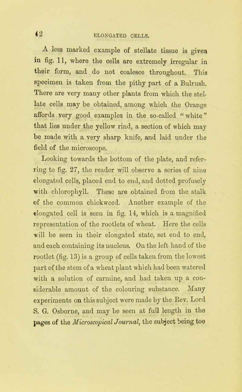 ELONGATED CELLS. A less marked example of stellate tissue is given in fig. 11, where the cells are extremely irregular in their form, and do not coalesce throughout. This specimen is taken from the pithy part of a Bulrush. There are very many other plants from which the stel- late cells may be obtained, among which the Orange affords very good examples in the so-called “white” that lies under the yellow rind, a section of which may be made with a very sharp knife, and laid under the field of the microscope. Looking towards the bottom of the plate, and refer- ring to fig. 27, the reader will observe a series of nine elongated cells, placed end to end, and dotted pi'ofusely with chlorophyll. These are obtained from the stalk of the common chickweed. Another example of the elongated cell is seen in fig. 14, which is a magnified representation of the rootlets of wheat. Here the cells will be seen in their elongated state, set end to end, and each containing its nucleus. On the left hand of the rootlet (fig. 13) is a group of cells taken from the lowest part of the stem of a wheat plant which had been watered with a solution of carmine, and had taken up a con- siderable amount of the colouring substance. Many experiments on this subject were made by the Kev. Lord S. G. Osborne, and may be seen at full length in tho pages of the Microscopical Journal, the subject being too