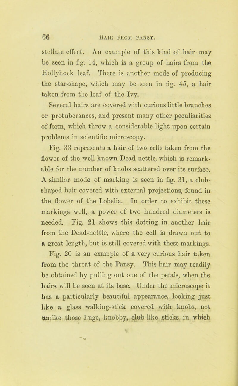 G6 Hair prom pansy. stellate effect. An example of this kind of hair may be seen in fig. 14, which is a group of hairs from the Hollyhock leaf. There is another mode of producing the star-shape, which may be seen in fig. 45, a hair taken from the leaf of the Ivy. Several hairs are covered with curious little branches or protuberances, and present many other peculiarities of form, which throw a considerable light upon certain problems in scientific microscopy. Fig. 33 represents a hair of two cells taken from the flower of the well-known Dead-nettle, which is remark- able for the number of knobs scattered over its surface. A similar mode of marking is seen in fig. 31, a club- shaped hair covered with external projections, found in the flower of the Lobelia. In order to exhibit these markings well, a power of two hundred diameters is needed. Fig. 21 shows this dotting in another hair from the Dead-nettle, where the cell is drawn out to a great length, but is still covered with these markings. Fig. 20 is an example of a very curious hair taken from the throat of the Pansy. This hair may readily be obtained by pulling out one of the petals, when the hairs will be seen at its base. Under the microscope it has a particularly beautiful appearance, looking just like a glass walking-stick covered with knobs, not unlike those huge, knobby, club-like sticks in which