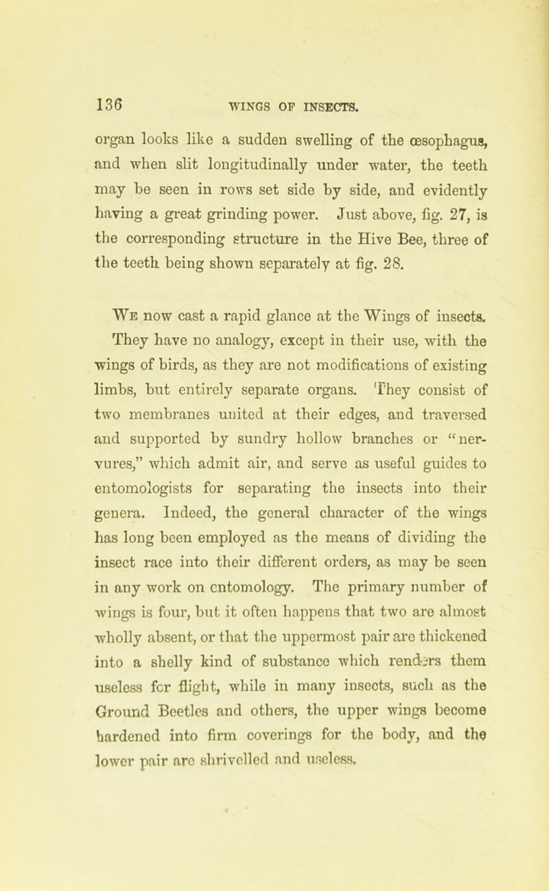 organ looks like a sudden swelling of the oesophagus, and when slit longitudinally under water, the teeth may be seen in rows set side by side, and evidently having a great grinding power. Just above, fig. 27, is the corresponding structure in the Hive Bee, three of the teeth being shown separately at fig. 28. We now cast a rapid glance at the Wings of insects. They have no analogy, except in their use, with the wings of birds, as they are not modifications of existing limbs, but entirely separate organs. They consist of two membranes united at their edges, and traversed and supported by sundry hollow branches or “ner- vures,” which admit air, and serve as useful guides to entomologists for separating the insects into their genera. Indeed, the general character of the wings has long been employed as the means of dividing the insect race into their different orders, as may be seen in any work on entomology. The primary number of wings is four, but it often happens that two are almost wholly absent, or that the uppermost pair are thickened into a shelly kind of substance which renders them useless fcr flight, while in many insects, such as the Ground Beetles and others, the upper wings become hardened into firm coverings for the body, and the lower pair arc shrivelled and useless.