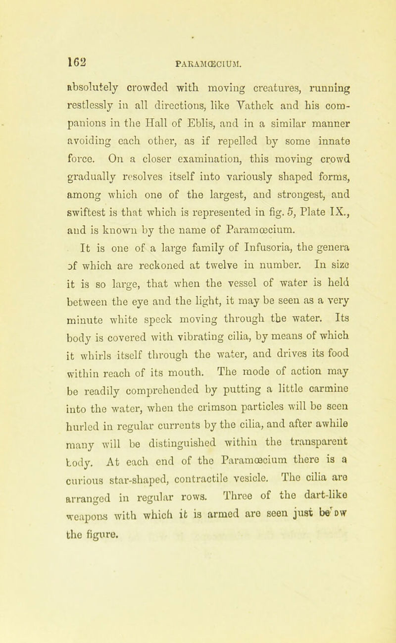 absolutely crowded with moving creatures, running restlessly in all directions, like Yathelc and his com- panions in the Hall of Eblis, and in a similar manner avoiding each other, as if repelled by some innate force. On a closer examination, this moving crowd gradually resolves itself into variously shaped forms, among which one of the largest, and strongest, and swiftest is that which is represented in fig. 5, Plate IX., and is known by the name of Paramoecium. It is one of a large family of Infusoria, the genera of which are reckoned at twelve in number. In size it is so large, that when the vessel of water is held between the eye and the light, it may be seen as a very minute white speck moving through the water. Its body is covered with vibrating cilia, by means of winch it whirls itself through the water, and drives its food within reach of its mouth. The mode of action may be readily comprehended by putting a little carmine into the water, when the crimson particles will be seen hurled in regular currents by the cilia, and after awhile many will be distinguished within the transparent body. At each end of the Paramoecium there is a curious star-shaped, contractile vesicle. The cilia are arranged in regular rows. Three of the dart-like weapons with which it is armed are seen just be ow the figure.