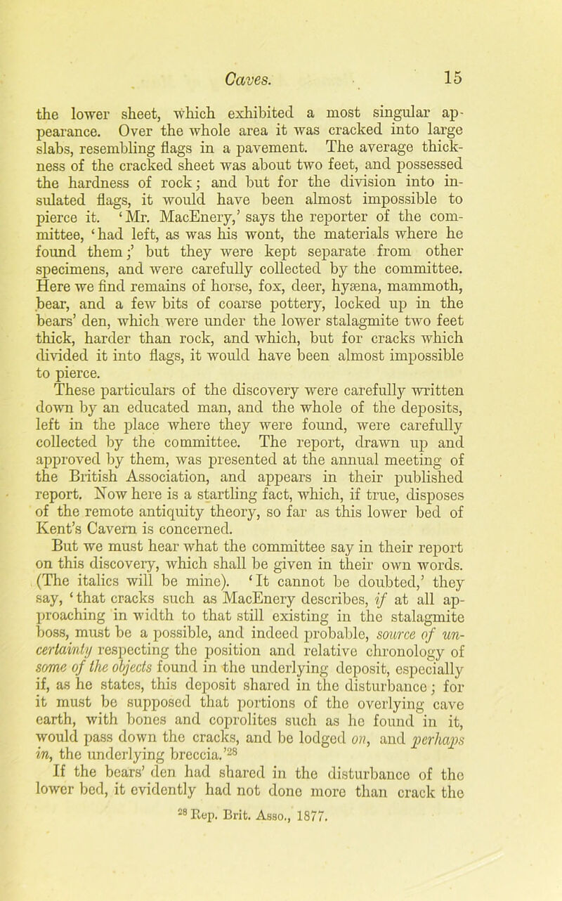 the lower sheet, which exhibited a most singular ap- pearance. Over the whole area it was cracked into large slabs, resembling flags in a pavement. The average thick- ness of the cracked sheet was about two feet, and possessed the hardness of rock; and but for the division into in- sulated flags, it would have been almost impossible to pierce it. ‘Mr. MacEnery,’ says the reporter of the com- mittee, ‘had left, as was his wont, the materials where he found thembut they were kept separate from other specimens, and were carefully collected by the committee. Here we find remains of horse, fox, deer, hyaena, mammoth, bear, and a few bits of coarse pottery, locked up in the bears’ den, which were under the lower stalagmite two feet thick, harder than rock, and which, but for cracks which divided it into flags, it would have been almost impossible to pierce. These particulars of the discovery were carefully written down by an educated man, and the whole of the deposits, left in the place where they were found, were carefully collected by the committee. The report, drawn up and approved by them, was presented at the annual meeting of the British Association, and appears in their published report. Now here is a startling fact, which, if true, disposes of the remote antiquity theory, so far as this lower bed of Kent’s Cavern is concerned. But we must hear what the committee say in their report on this discoveiy, which shall be given in their own words. (The italics will be mine). ‘It cannot be doubted,’ they say, ‘ that cracks such as MacEnery describes, if at all ap- proaching in width to that still existing in the stalagmite boss, must be a possible, and indeed probable, source of un- certainty respecting the position and relative chronology of some of the objects found in the underlying deposit, especially if, as he states, this deposit shared in the disturbance; for it must be supposed that portions of the overlying cave earth, with bones and coprolites such as he found in it, would pass down the cracks, and be lodged on, and perhaps in, the underlying breccia.’28 If the bears’ den had shared in the disturbance of the lower bed, it evidently had not done more than crack the S8Rep. Brit. Asao., 1877.