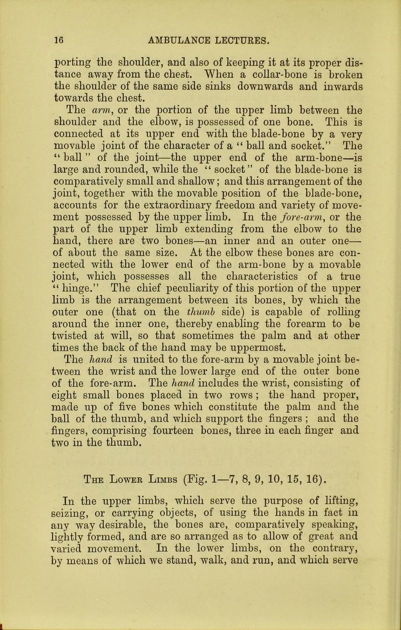 porting the shoulder, and also of keeping it at its proper dis- tance away from the chest. When a collar-bone is broken the shoulder of the same side sinks downwards and inwards towards the chest. The arm, or the portion of the upper limb between the shoulder and the elbow, is possessed of one bone. This is connected at its upper end with the blade-bone by a very movable joint of the character of a “ ball and sockeL” The “ ball ” of the joint—the upper end of the arm-bone—is large and rounded, while the “socket” of the blade-bone is comparatively small and shallow; and this arrangement of the joint, together with the movable position of the blade-bone, accounts for the extraordinary freedom and variety of move- ment possessed by the upper limb. In the fore-arm, or the part of the upper limb extending from the elbow to the hand, there are two bones—an inner and an outer one— of about the same size. At the elbow these bones are con- nected with the lower end of the arm-bone by a movable joint, which ]possesses all the characteristics of a true “ hinge.” The chief peculiarity of this portion of the upper limb is the arrangement between its bones, by which the outer one (that on the thumb side) is capable of rolling around the inner one, thereby enabling the forearm to be twisted at will, so that sometimes the palm and at other times the back of the hand may be uppermost. The hand is united to the fore-arm by a movable joint be- tween the wrist and the lower large end of the outer bone of the fore-arm. The hand includes the wrist, consisting of eight small bones placed in two rows ; the hand proper, made up of five bones which constitute the palm and the ball of the thumb, and which support the fingers ; and the fingers, comprising fourteen bones, three in each finger and two in the thumb. The Lower Limbs (Fig. 1—7, 8, 9, 10, 15, 16). In the upper limbs, which serve the purpose of lifting, seizing, or carrying objects, of using the hands in fact in any way desirable, the bones are, comparatively speaking, lightly formed, and are so arranged as to allow of great and varied movement. In the lower limbs, on the contrary, by means of which we stand, walk, and run, and which serve