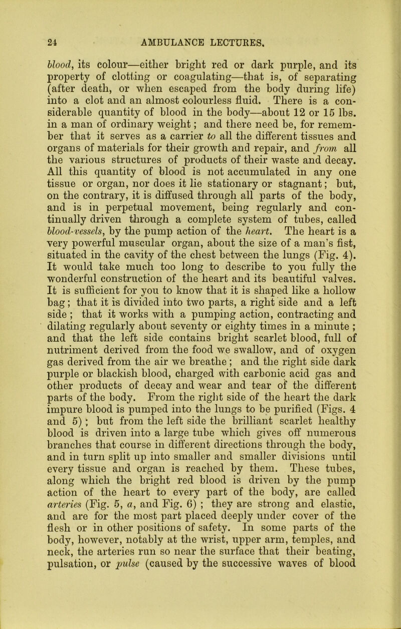 blood, its colour—either bright red or dark purple, and its property of clotting or coagulating—that is, of separating (after death, or when escaped from the body during life) into a clot and an almost colourless fluid. There is a con- siderable quantity of blood in the body—about 12 or 15 lbs. in a man of ordinary weight; and there need be, for remem- ber that it serves as a carrier to all the different tissues and organs of materials for their growth and repair, and from all the various structures of products of their waste and decay. All this quantity of blood is not accumulated in any one tissue or organ, nor does it lie stationary or stagnant; but, on the contrary, it is diffused through all parts of the body, and is in perpetual movement, being regularly and con- tinually driven through a complete system of tubes, called blood-vessels, by the pump action of the heart. The heart is a very powerful muscular organ, about the size of a man’s fist, situated in the cavity of the chest between the lungs (Fig. 4). It would take much too long to describe to you fully the wonderful construction of the heart and its beautiful valves. It is sufficient for you to know that it is shaped like a hollow bag; that it is divided into two parts, a right side and a left side ; that it works with a pumping action, contracting and dilating regularly about seventy or eighty times in a minute ; and that the left side contains bright scarlet blood, full of nutriment derived from the food we swallow, and of oxygen gas derived from the air we breathe ; and the right side dark purple or blackish blood, charged with carbonic acid gas and other products of decay and wear and tear of the different parts of the body. From the rigJit side of the heart the dark impure blood is pumped into the lungs to be purified (Figs. 4 and 6); but from the left side the brilliant scarlet healthy blood is driven into a large tube which gives off numerous branches that course in different directions through the body, and in turn split up into smaller and smaller divisions until every tissue and organ is reached by them. These tubes, along which the bright red blood is driven by the pump action of the heart to every part of the body, are called arteries (Fig. 5, a, and Fig. 6) ; they are strong and elastic, and are for the most part placed deeply under cover of the flesh or in other positions of safety. In some parts of the body, however, notably at the wrist, upper arm, temples, and neck, the arteries run so near the surface that their beating, pulsation, or pulse (caused by the successive waves of blood