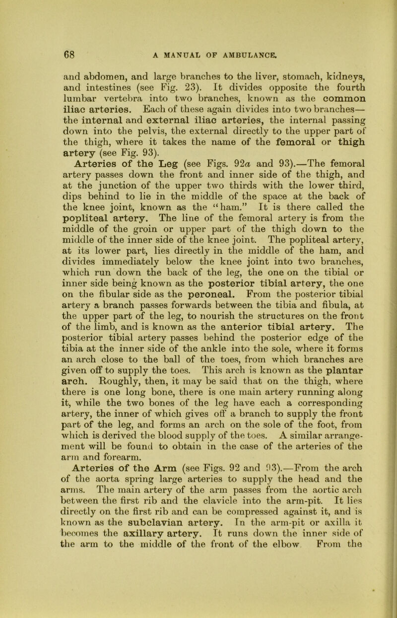 and abdomen, and large branches to the liver, stomach, kidneys, and intestines (see Fig. 23). It divides opposite the fourth lumbar vertebra into two branches, known as the common iliac arteries. Each of these again divides into two branches— the internal and external iliac arteries, the internal passing down into the pelvis, the external directly to the upper part ol“ the thigh, where it takes the name of the femoral or thigh artery (see Fig. 93). Arteries of the Leg (see Figs. 92a and 93).—The femoral artery passes down the front and inner side of the thigh, and at the junction of the upper two thirds with the lower third, dips behind to lie in the middle of the space at the back of the knee joint, known as the “ham.” It is there called the popliteal artery. The line of the femoral artery is from the middle of the groin or upper part of the thigh down to the middle of the inner side of the knee joint. The popliteal artery, at its lower part, lies directly in the middle of the ham, and divides immediately below the knee joint into two branches, which run down the back of the leg, the one on the tibial or inner side being known as the posterior tibial artery, the one on the fibular side as the peroneal. From the posterior tibial artery a branch passes forwards between the tibia and fibula, at the upper part of the leg, to nourish the structures on the front of the limb, and is known as the anterior tibial artery. The posterior tibial artery passes behind the posterior edge of the tibia at the inner side of the ankle into the sole, where it forms an arch close to the ball of the toes, from which branches are given off to supply the toes. This arch is known as the plantar arch. Roughly, then, it may be said that on the thigh, where there is one long bone, there is one main artery running along it, while the two bones of the leg have each a corresponding artery, the inner of which gives off a branch to supply the front part of the leg, and forms an arch on the sole of the foot, from which is derived the blood supply of the toes. A similar arrange- ment will be found to obtain in the case of the arteries of the arm and forearm. Arteries of the Arm (see Figs. 92 and 03).—From the arch of the aorta spring large arteries to supply the head and the arms. The main artery of the arm passes from the aortic arch between the first rib and the clavicle into the arm-pit. It lies directly on the first rib and can be compressed against it, and is known as the subclavian artery. In the arm-pit or axilla it becomes the axillary artery. It runs down the inner side of the arm to the middle of the front of the elbow, From the