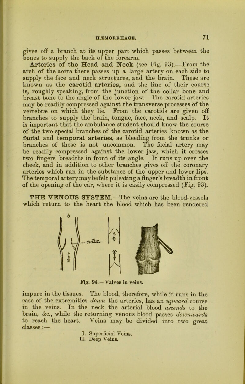 gives off a branch at its upper part which passes between the bones to supply the back of the forearm. Arteries of the Head and Heck (see Fig. 93).—From the arch of the aorta there passes up a large artery on each side to supply the face and neck structures, and the brain. These are known as the carotid arteries, and the line of their course is, roughly speaking, from the junction of the collar bone and breast bone to the angle of the lower jaw. The carotid arteries may be readily compressed against the transverse processes of the vertebrae on which they lie. From the carotids are given off branches to supply the brain, tongue, face, neck, and scalp. It is important that the ambulance student should know the course of the two special branches of the carotid arteries known as the facial and temporal arteries, as bleeding from the trunks or branches of these is not uncommon. The facial artery may be readily compressed against the lower jaw, which it crosses two fingers’ breadths in front of its angle. It runs up over the cheek, and in addition to other branches gives off the coronary arteries which run in the substance of the upper and lower lips. The temporal artery may be felt pulsating a finger’s breadth in front of the opening of the ear, where it is easily compressed (Fig. 93). THE VENOUS SYSTEM.—The veins are the blood-vessels which return to the heart the blood which has been rendered Fig. 94. — Valves in veins. impure in the tissues. The blood, therefore, while it runs in the case of the extremities down the arteries, has an upward course in the veins. In the neck the arterial blood ascends to the brain, &c., while the returning venous blood passes downwards to reach the heart. Veins may be divided into two great classes :— I. Superficial Veins. II. Deep Veins.