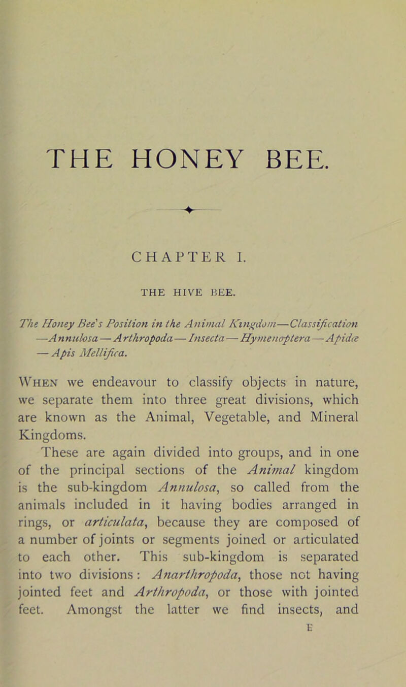 PHE HONEY BEE. CHAPTER I. THE HIVE BEE. The Honey Bee's Position in the Animal Kingdom—Classification —A n nulosa — A rthropoda — Insect a—Hymenoptera —■ Apidce — Apis Mellifica. When we endeavour to classify objects in nature, we separate them into three great divisions, which are known as the Animal, Vegetable, and Mineral Kingdoms. These are again divided into groups, and in one of the principal sections of the Animal kingdom is the sub-kingdom Annulosa, so called from the animals included in it having bodies arranged in rings, or arliculata, because they are composed of a number of joints or segments joined or articulated to each other. This sub-kingdom is separated into two divisions: Anarlhropoda, those not having jointed feet and Arthropoda, or those with jointed feet. Amongst the latter we find insects, and E