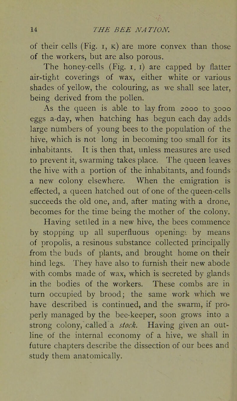 of their cells (Fig. i, k) are more convex than those of the workers, but are also porous. The honey-cells (Fig. i, i) are capped by flatter air-tight coverings of wax, either white or various shades of yellow, the colouring, as we shall see later, being derived from the pollen. As the queen is able to lay from 2000 to 3000 eggs a-day, when hatching has begun each day adds large numbers of young bees to the population of the hive, which is not long in becoming too small for its inhabitants. It is then that, unless measures are used to prevent it, swarming takes place. The queen leaves the hive with a portion of the inhabitants, and founds a new colony elsewhere. When the emigration is effected, a queen hatched out of one of the queen-cells succeeds the old one, and, after mating with a drone, becomes for the time being the mother of the colony. Having settled in a new hive, the bees commence by stopping up all superfluous openings by means of propolis, a resinous substance collected principally from the buds of plants, and brought home on their hind legs. They have also to furnish their new abode with combs made of wax, which is secreted by glands in the bodies of the workers. These combs are in turn occupied by brood; the same work which we have described is continued, and the swarm, if pro- perly managed by the bee-keeper, soon grows into a strong colony, called a stock. Having given an out- line of the internal economy of a hive, we shall in future chapters describe the dissection of our bees and study them anatomically.