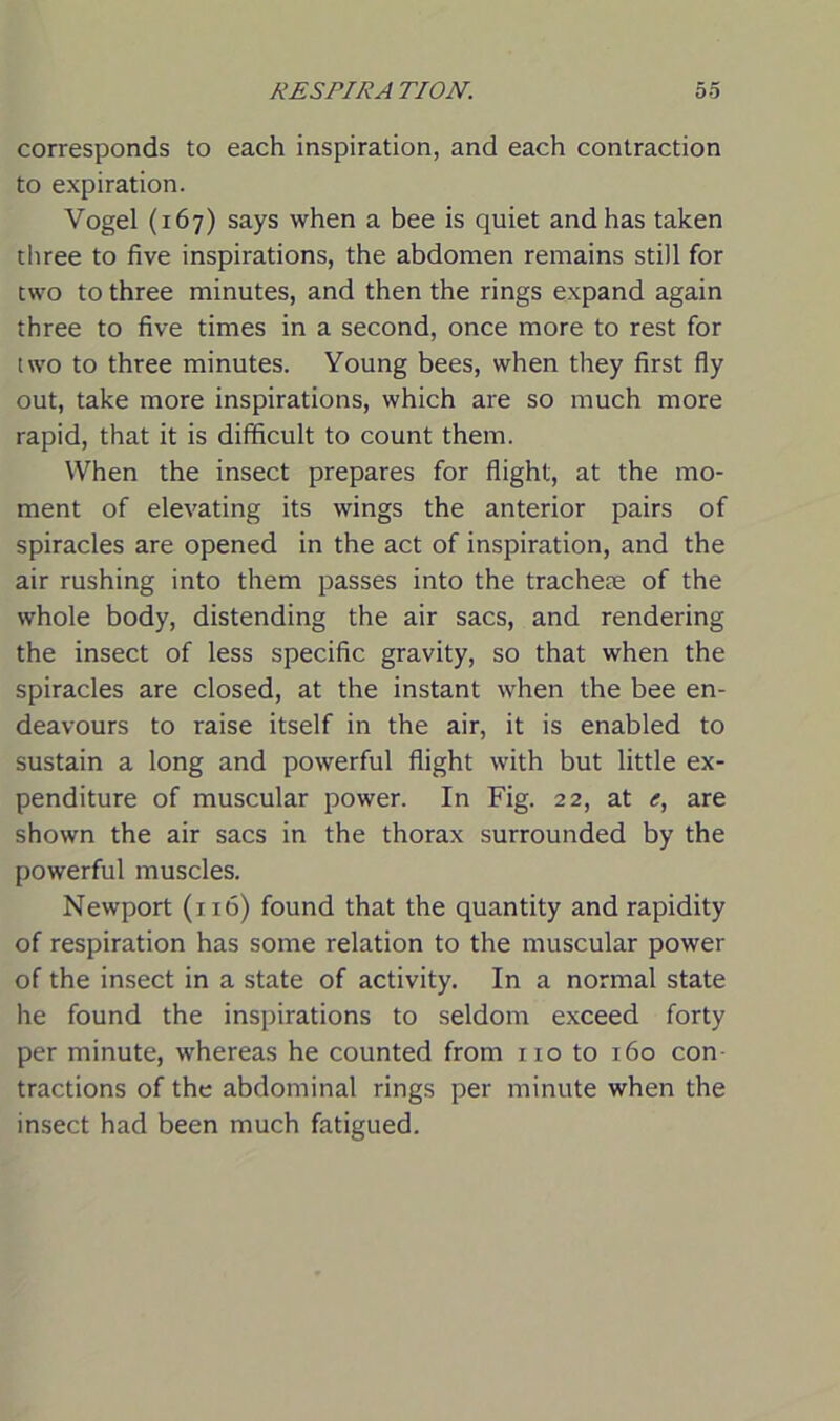 corresponds to each inspiration, and each contraction to expiration. Vogel (167) says when a bee is quiet and has taken three to five inspirations, the abdomen remains still for two to three minutes, and then the rings expand again three to five times in a second, once more to rest for two to three minutes. Young bees, when they first fly out, take more inspirations, which are so much more rapid, that it is difficult to count them. When the insect prepares for flight, at the mo- ment of elevating its wings the anterior pairs of spiracles are opened in the act of inspiration, and the air rushing into them passes into the tracheae of the whole body, distending the air sacs, and rendering the insect of less specific gravity, so that when the spiracles are closed, at the instant when the bee en- deavours to raise itself in the air, it is enabled to sustain a long and powerful flight with but little ex- penditure of muscular power. In Fig. 22, at e, are shown the air sacs in the thorax surrounded by the powerful muscles. Newport (116) found that the quantity and rapidity of respiration has some relation to the muscular power of the insect in a state of activity. In a normal state he found the inspirations to seldom exceed forty per minute, whereas he counted from no to 160 con tractions of the abdominal rings per minute when the insect had been much fatigued.