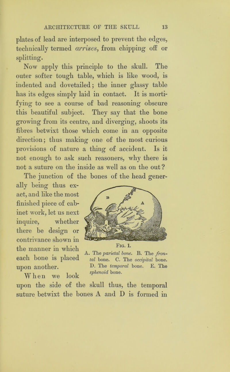 plates of lead are interposed to prevent the edges, technically termed arrises, from chipping ofE or splitting. Now apply this principle to the skull. The outer softer tough table, which is like wood, is indented and dovetailed; the inner glassy table has its edges simply laid in contact. It is morti- fying to see a course of bad reasoning obscure this beautiful subject. They say that the bone growing from its centre, and diverging, shoots its fibres betwixt those which come in an opposite direction; thus making one of the most curious provisions of nature a thing of accident. Is it not enough to ask such reasoners, why there is not a suture on the inside as well as on the out ? The junction of the bones of the head gener- ally being thus ex- act, and like the most finished piece of cab- inet work, let us next inquire, whether there be design or contrivance shown in the manner in which . A. The parietal bone. B. The fron- eacll bone IS placed tal bone. C. The occipital bone. upon another. D- The temporal bone. E. The TTT. ■, ■. sphenoid bone. VV hen we look upon the side of the skull thus, the temporal suture betwixt the bones A and D is formed in