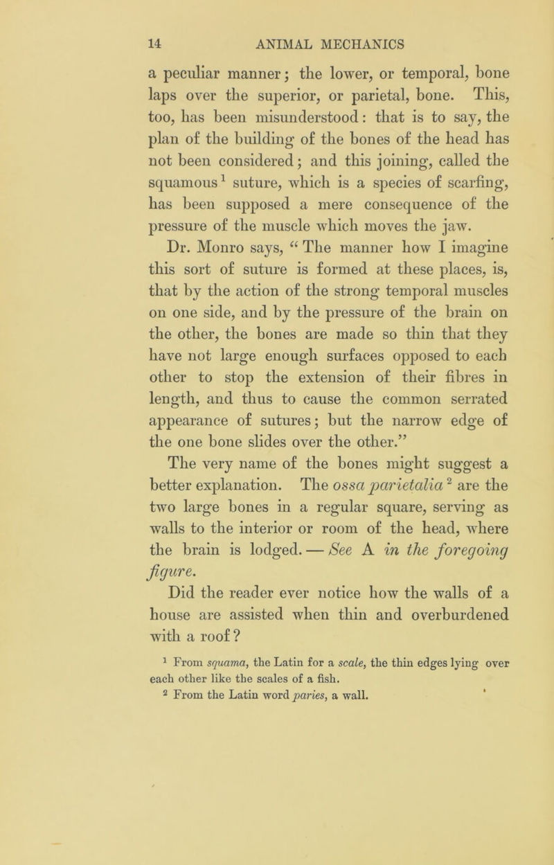 a peculiar manner; the lower, or temporal, bone laps over the superior, or parietal, bone. This, too, has been misunderstood: that is to say, the plan of the building of the bones of the head has not been considered; and this joining, called the squamous1 suture, which is a species of scarfing, has been supposed a mere consequence of the pressure of the muscle which moves the jaw. Dr. Monro says, “ The manner how I imagine this sort of suture is formed at these places, is, that by the action of the strong temporal muscles on one side, and by the pressure of the brain on the other, the bones are made so thin that they have not large enough surfaces opposed to each other to stop the extension of their fibres in length, and thus to cause the common serrated appearance of sutures; but the narrow edge of the one bone slides over the other.” The very name of the bones might suggest a better explanation. The ossa parietalia2 are the two large bones in a regular square, serving as walls to the interior or room of the head, where the brain is lodged. — See A in the foregoing figure. Did the reader ever notice how the walls of a house are assisted when thin and overburdened with a roof? 1 From squama, the Latin for a scale, the thin edges lying over each other like the scales of a fish. 2 From the Latin word paries, a wall.