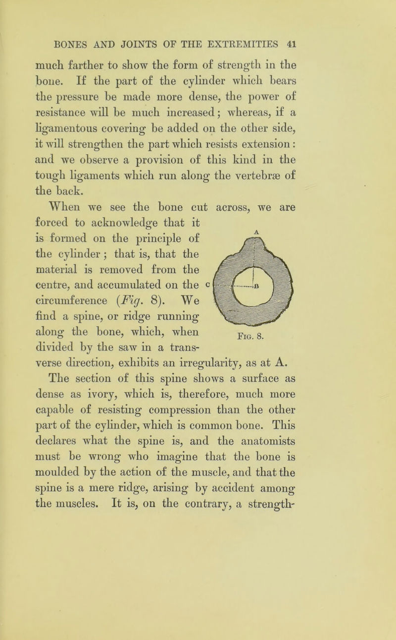 much farther to show the form of strength in the bone. If the part of the cylinder which bears the pressure be made more dense, the power of resistance will be much increased; whereas, if a ligamentous covering be added on the other side, it will strengthen the part which resists extension : and we observe a provision of this kind in the tough ligaments which run along the vertebrae of the back. When we see the bone cut across, we are forced to acknowledge that it is formed on the principle of the cylinder; that is, that the material is removed from the centre, and accumulated on the c circumference {Fig. 8). We find a spine, or ridge running along the bone, which, when divided by the saw in a trans- verse direction, exhibits an irregularity, as at A. The section of this spine shows a surface as dense as ivory, which is, therefore, much more capable of resisting compression than the other part of the cylinder, which is common bone. This declares what the spine is, and the anatomists must be wrong who imagine that the bone is moulded by the action of the muscle, and that the spine is a mere ridge, arising by accident among the muscles. It is, on the contrary, a strength- A Fig. 8.