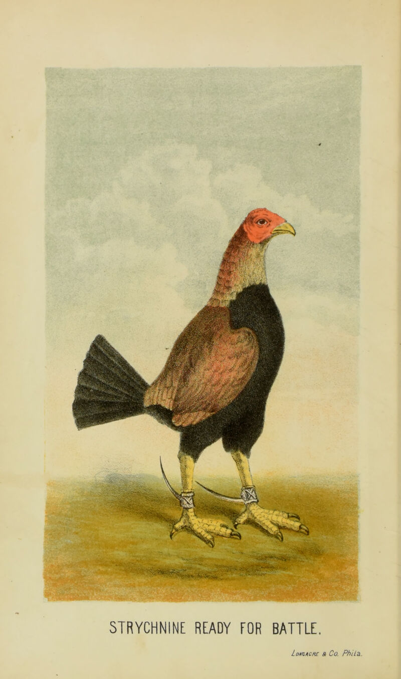 LomAcns a Co. PhiLa.