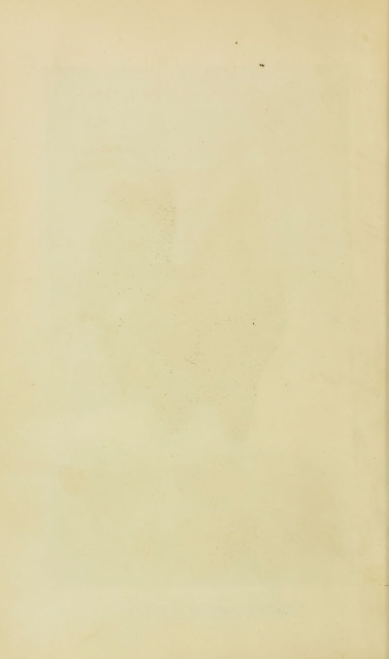 ^ '1 i ■( n iJ X >4 r .i