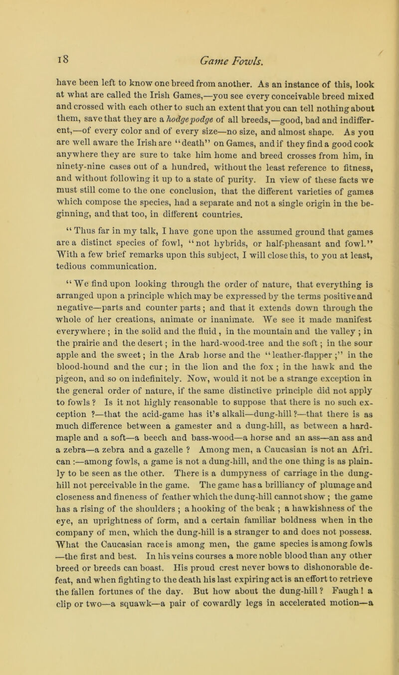 have been left to know one breed from another. As an instance of this, look at what are called the Irish Games,—you see every conceivable breed mixed and crossed with each other to such an extent that you can tell nothing about them, save that they are a hodgepodge of all breeds,—good, bad and indiffer- ciit?—of every color and of every size—no size, and almost shape. As you are well aware the Irish are “death” on Games, and if they find a good cook anywhere they are sure to take him home and breed crosses from him, in ninety-nine cases out of a hundred, without the least reference to fitness, and without following it up to a state of purity. In view of these facts we must still come to the one conclusion, that the different varieties of games which compose the species, had a separate and not a single origin in the be- ginning, and that too, in different countries. “ Thus far in my talk, I have gone upon the assumed ground that games area distinct species of fowl, “not hybrids, or half-pheasant and fowl.” With a few brief remarks upon this subject, I will close this, to you at least, tedious communication. “We find upon looking through the order of nature, that everything is arranged upon a principle which may be expressed by the terms positive and negative—parts and counter parts ; and that it extends down through the whole of her creations, animate or inanimate. We see it made manifest everywhere ; in the solid and the fluid , in the mountain and the valley ; in the prairie and the desert; in the hard-wood-tree and the soft; in the sour apple and the sweet; in the Arab horse and the “leather-flapper ;” in the blood-hound and the cur; in the lion and the fox ; in the hawk and the pigeon, and so on indefinitely. Now, would it not be a strange exception in the general order of nature, if the same distinctive principle did not apply to fowls ? Is it not highly reasonable to suppose that there is no such ex- ception ?—that the acid-game has it’s alkali—dung-hill ?—that there is as much difference between a gamester and a dung-hill, as between a hard- maple and a soft—a beech and bass-wood—a horse and an ass—an ass and a zebra—a zebra and a gazelle ? Among men, a Caucasian is not an Afri. can ;—among fowls, a game is not a dung-hill, and the one thing is as plain- ly to be seen as the other. There is a dumpjmess of carriage in the dung- hill not perceivable in the game. The game has a brilliancy of plumage and closeness and fineness of feather which the dung-hill cannot show ; the game has a rising of the shoulders ; a hooking of the beak ; a hawkishness of the eye, an uprightness of form, and a certain familiar boldness when in the company of men, which the dung-hill is a stranger to and does not possess. What the Caucasian race is among men, the game species is among fowls —the first and best. In his veins courses a more noble blood than any other breed or breeds can boast. His proud crest never bows to dishonorable de- feat, and when fighting to the death his last expiring act is an effort to retrieve the fallen fortunes of the day. But how about the dung-hill ? Faugh ! a clip or two—a squawk—a pair of cowardly legs in accelerated motion—a