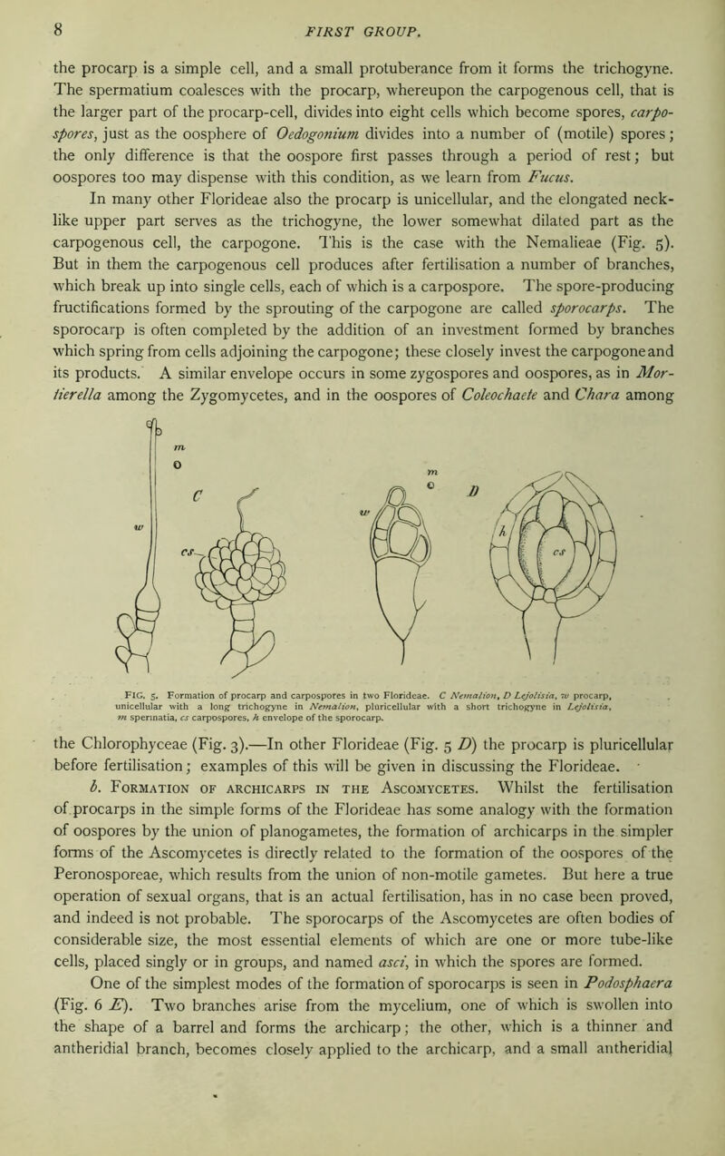 the procarp is a simple cell, and a small protuberance from it forms the trichogyne. The spermatium coalesces with the procarp, whereupon the carpogenous cell, that is the larger part of the procarp-cell, divides into eight cells which become spores, carpo- spores, just as the oosphere of Oedogonium divides into a number of (motile) spores; the only difference is that the oospore first passes through a period of rest; but oospores too may dispense with this condition, as we learn from Fucus. In many other Florideae also the procarp is unicellular, and the elongated neck- like upper part serves as the trichogyne, the lower somewhat dilated part as the carpogenous cell, the carpogone. This is the case with the Nemalieae (Fig. 5). But in them the carpogenous cell produces after fertilisation a number of branches, which break up into single cells, each of which is a carpospore. The spore-producing fructifications formed by the sprouting of the carpogone are called sporocarps. The sporocarp is often completed by the addition of an investment formed by branches which spring from cells adjoining the carpogone; these closely invest the carpogoneand its products. A similar envelope occurs in some zygospores and oospores, as in Mor- iierella among the Zygomycetes, and in the oospores of Coleochaete and Chara among FIG. 5. Formation of procarp and carpospores in two Florideae. C Nemalion, D Lcjolisia, 7u procarp, unicellular with a long trichogyne in Nemalion, plaricellular with a short trichogyne in Lcjolisia, m sperinatia, cs carpospores, h envelope of the sporocarp. the Chlorophyceae (Fig. 3).—In other Florideae (Fig. 5 D) the procarp is pluricellular before fertilisation; examples of this will be given in discussing the Florideae. b. Formation of archicarps in the Ascomycetes. Whilst the fertilisation of procarps in the simple forms of the Florideae has some analogy with the formation of oospores by the union of planogametes, the formation of archicarps in the simpler forms of the Ascomycetes is directly related to the formation of the oospores of the Peronosporeae, which results from the union of non-motile gametes. But here a true operation of sexual organs, that is an actual fertilisation, has in no case been proved, and indeed is not probable. The sporocarps of the Ascomycetes are often bodies of considerable size, the most essential elements of which are one or more tube-like cells, placed singly or in groups, and named asci, in which the spores are formed. One of the simplest modes of the formation of sporocarps is seen in Podosphaera (Fig. 6 F). Two branches arise from the mycelium, one of which is swollen into the shape of a barrel and forms the archicarp; the other, which is a thinner and antheridial branch, becomes closely applied to the archicarp, and a small antheridial