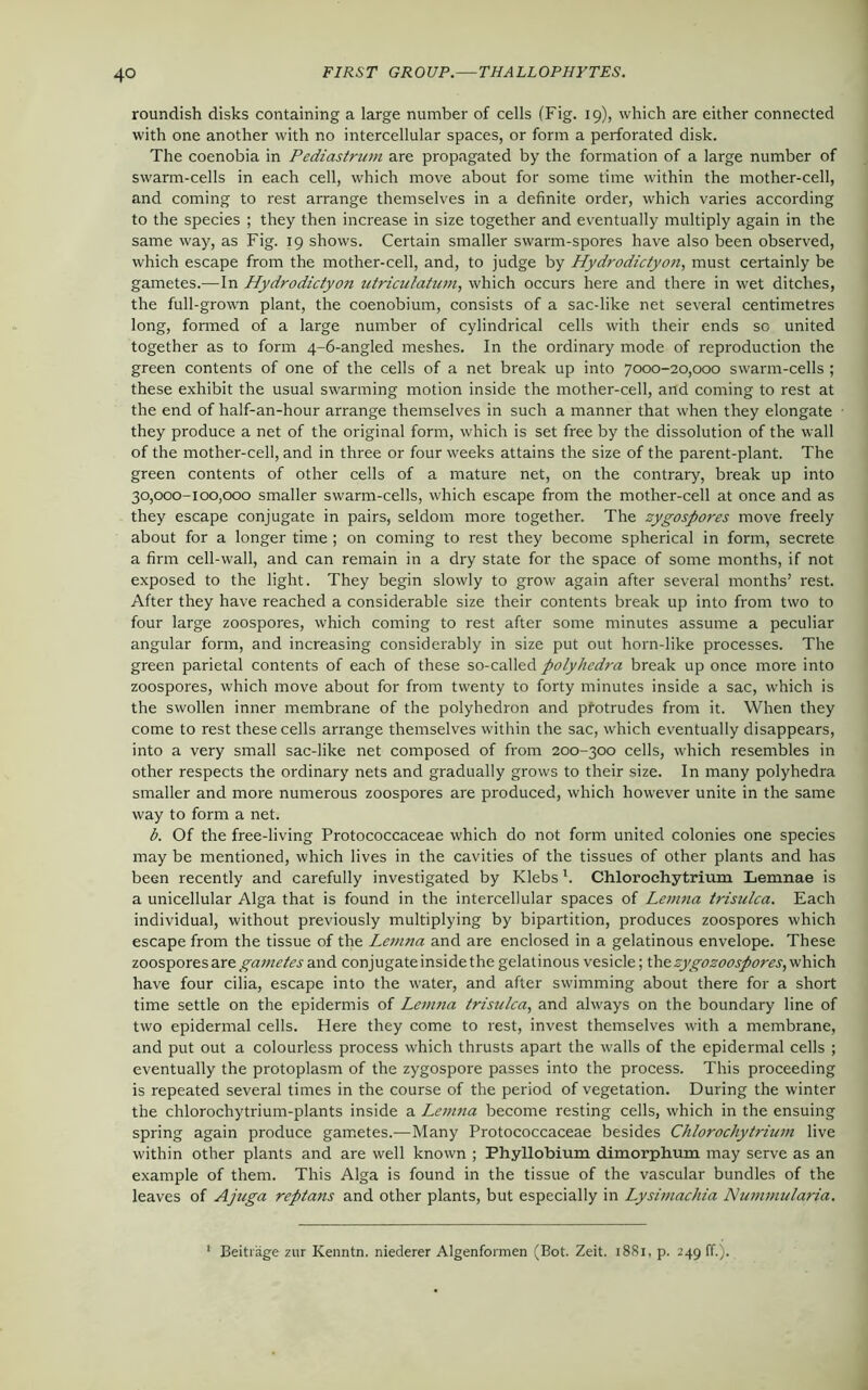 roundish disks containing a large number of cells (Fig. 19), which are either connected with one another with no intercellular spaces, or form a perforated disk. The coenobia in Pediastrum are propagated by the formation of a large number of swarm-cells in each cell, which move about for some time within the mother-cell, and coming to rest arrange themselves in a definite order, which varies according to the species ; they then increase in size together and eventually multiply again in the same way, as Fig. 19 shows. Certain smaller swarm-spores have also been observed, which escape from the mother-cell, and, to judge by Hydrodictyon, must certainly be gametes.—In Hydrodictyon utriculatum, which occurs here and there in wet ditches, the full-grown plant, the coenobium, consists of a sac-like net several centimetres long, formed of a large number of cylindrical cells with their ends sc united together as to form 4-6-angled meshes. In the ordinary mode of reproduction the green contents of one of the cells of a net break up into 7000-20,000 swarm-cells ; these exhibit the usual swarming motion inside the mother-cell, and coming to rest at the end of half-an-hour arrange themselves in such a manner that when they elongate they produce a net of the original form, which is set free by the dissolution of the wall of the mother-cell, and in three or four weeks attains the size of the parent-plant. The green contents of other cells of a mature net, on the contrary, break up into 30,000-100,000 smaller swarm-cells, which escape from the mother-cell at once and as they escape conjugate in pairs, seldom more together. The zygospores move freely about for a longer time ; on coming to rest they become spherical in form, secrete a firm cell-wall, and can remain in a dry state for the space of some months, if not exposed to the light. They begin slowly to grow again after several months’ rest. After they have reached a considerable size their contents break up into from two to four large zoospores, which coming to rest after some minutes assume a peculiar angular form, and increasing considerably in size put out horn-like processes. The green parietal contents of each of these so-called polyhedra break up once more into zoospores, which move about for from twenty to forty minutes inside a sac, which is the swollen inner membrane of the polyhedron and protrudes from it. When they come to rest these cells arrange themselves within the sac, which eventually disappears, into a very small sac-like net composed of from 200-300 cells, which resembles in other respects the ordinary nets and gradually grows to their size. In many polyhedra smaller and more numerous zoospores are produced, which however unite in the same way to form a net. b. Of the free-living Protococcaceae which do not form united colonies one species may be mentioned, which lives in the cavities of the tissues of other plants and has been recently and carefully investigated by Klebs'. Chloroehytrium Lemnae is a unicellular Alga that is found in the intercellular spaces of Lemna trisulca. Each individual, without previously multiplying by bipartition, produces zoospores which escape from the tissue of the Lemna and are enclosed in a gelatinous envelope. These zoospores are gametes and conjugate inside the gelatinous vesicle; the zygozoospores, which have four cilia, escape into the water, and after swimming about there for a short time settle on the epidermis of Lemna trisulca, and always on the boundary line of two epidermal cells. Here they come to rest, invest themselves with a membrane, and put out a colourless process which thrusts apart the walls of the epidermal cells ; eventually the protoplasm of the zygospore passes into the process. This proceeding is repeated several times in the course of the period of vegetation. During the winter the chlorochytrium-plants inside a Lenina become resting cells, which in the ensuing spring again produce gametes.—Many Protococcaceae besides Chloroehytrium live within other plants and are well known ; Phyllobium dimorphum may serve as an example of them. This Alga is found in the tissue of the vascular bundles of the leaves of Ajuga reptans and other plants, but especially in Lysimachia Nummularia. Beitrage zur Kenntn. niederer Algenformen (Bot. Zeit. 1881, p. 249 (T.).