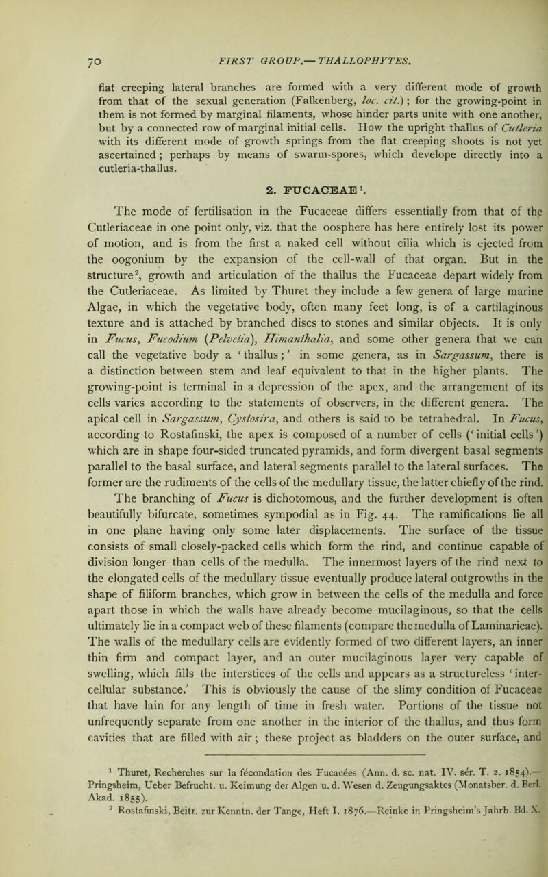 flat creeping lateral branches are formed with a very different mode of growth from that of the sexual generation (Falkenberg, loc. cit.); for the growing-point in them is not formed by marginal filaments, whose hinder parts unite with one another, but by a connected row of marginal initial cells. How the upright thallus of Cutleria with its different mode of growth springs from the flat creeping shoots is not yet ascertained; perhaps by means of swarm-spores, which develope directly into a cutleria-thallus. 2. FUCACEAE1. The mode of fertilisation in the Fucaceae differs essentially from that of the Cutleriaceae in one point only, viz. that the oosphere has here entirely lost its power of motion, and is from the first a naked cell without cilia which is ejected from the oogonium by the expansion of the cell-wall of that organ. But in the structure2, growth and articulation of the thallus the Fucaceae depart widely from the Cutleriaceae. As limited by Thuret they include a few genera of large marine Algae, in which the vegetative body, often many feet long, is of a cartilaginous texture and is attached by branched discs to stones and similar objects. It is only in Fucus, Fucodium (.Pelveiia), Himanthalia, and some other genera that we can call the vegetative body a ‘ thallus;' in some genera, as in Sargassum, there is a distinction between stem and leaf equivalent to that in the higher plants. The growing-point is terminal in a depression of the apex, and the arrangement of its cells varies according to the statements of observers, in the different genera. The apical cell in Sargassum, Cystosira, and others is said to be tetrahedral. In Fucus, according to Rostafinski, the apex is composed of a number of cells (‘ initial cells ’) which are in shape four-sided truncated pyramids, and form divergent basal segments parallel to the basal surface, and lateral segments parallel to the lateral surfaces. The former are the rudiments of the cells of the medullary tissue, the latter chiefly of the rind. The branching of Fucus is dichotomous, and the further development is often beautifully bifurcate, sometimes sympodial as in Fig. 44. The ramifications lie all in one plane having only some later displacements. The surface of the tissue consists of small closely-packed cells which form the rind, and continue capable of division longer than cells of the medulla. The innermost layers of the rind nex-t to the elongated cells of the medullary tissue eventually produce lateral outgrowths in the shape of filiform branches, which grow in between the cells of the medulla and force apart those in which the walls have already become mucilaginous, so that the cells ultimately lie in a compact web of these filaments (compare the medulla of Laminarieae). The walls of the medullary cells are evidently formed of two different layers, an inner thin firm and compact layer, and an outer mucilaginous layer very capable of swelling, which fills the interstices of the cells and appears as a structureless ‘ inter- cellular substance.’ This is obviously the cause of the slimy condition of Fucaceae that have lain for any length of time in fresh water. Portions of the tissue not unfrequently separate from one another in the interior of the thallus, and thus form cavities that are filled with air; these project as bladders on the outer surface, and 1 Thuret, Recherches sur la fecondation des Fucacees (Ann. d. sc. nat. IV. ser. T. 2. 1854).— Pringsheim, Ueber Befrucht. 11. Keimung der Algen u.d. Wesen d. Zeugungsaktes (Monatsber. d. Berl. Akad. 1855). 2 Rostafinski, Beitr. zur Ivenntn. der Tange, Heft I. 1876.—Reinke in Pringsheim’s Jahrb. Bd. X.