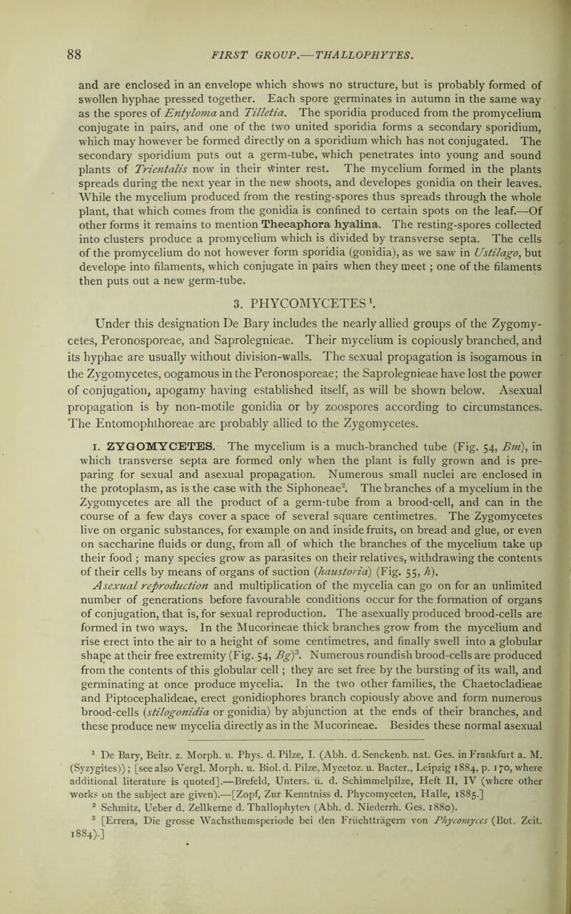and are enclosed in an envelope which shows no structure, but is probably formed of swollen hyphae pressed together. Each spore germinates in autumn in the same way as the spores of Entyloma and Tilletia. The sporidia produced from the promycelium conjugate in pairs, and one of the two united sporidia forms a secondary sporidium, which may however be formed directly on a sporidium which has not conjugated. The secondary sporidium puts out a germ-tube, which penetrates into young and sound plants of Trientalis now in their venter rest. The mycelium formed in the plants spreads during the next year in the new shoots, and developes gonidia on their leaves. While the mycelium produced from the resting-spores thus spreads through the whole plant, that which comes from the gonidia is confined to certain spots on the leaf.—Of other forms it remains to mention Thecaphora hyalina. The resting-spores collected into clusters produce a promycelium which is divided by transverse septa. The cells of the promycelium do not however form sporidia (gonidia), as we saw in Ustilago, but develope into filaments, which conjugate in pairs when they meet; one of the filaments then puts out a new germ-tube. 3. PHYCOMYCETESl. Under this designation De Bary includes the nearly allied groups of the Zygomy- cetes, Peronosporeae, and Saprolegnieae. Their mycelium is copiously branched, and its hyphae are usually without division-walls. The sexual propagation is isogamous in the Zygomycetes, oogamous in the Peronosporeae; the Saprolegnieae have lost the power of conjugation, apogamy having established itself, as will be shown below. Asexual propagation is by non-motile gonidia or by zoospores according to circumstances. The Entomophthoreae are probably allied to the Zygomycetes. I. ZYGOMYCETES. The mycelium is a much-branched tube (Fig. 54, Bm), in which transverse septa are formed only when the plant is fully grown and is pre- paring for sexual and asexual propagation. Numerous small nuclei are enclosed in the protoplasm, as is the case with the Siphoneae2 3. The branches of a mycelium in the Zygomycetes are all the product of a germ-tube from a brood-cell, and can in the course of a few days cover a space of several square centimetres. The Zygomycetes live on organic substances, for example on and inside fruits, on bread and glue, or even on saccharine fluids or dung, from all of which the branches of the mycelium take up their food ; many species grow as parasites on their relatives, withdrawing the contents of their cells by means of organs of suction (haustoria) (Fig. 55, li). Asexual reproduction and multiplication of the mycelia can go on for an unlimited number of generations before favourable conditions occur for the formation of organs of conjugation, that is, for sexual reproduction. The asexually produced brood-cells are formed in two ways. In the Mucorineae thick branches grow from the mycelium and rise erect into the air to a height of some centimetres, and finally swell into a globular shape at their free extremity (Fig. 54, Bgf. N umerous roundish brood-cells are produced from the contents of this globular cell; they are set free by the bursting of its wall, and germinating at once produce mycelia. In the two other families, the Chaetocladieae and Piptocephalideae, erect gonidiophores branch copiously above and form numerous brood-cells (stilogonidia or gonidia) by abjunction at the ends of their branches, and these produce new mycelia directly as in the Mucorineae. Besides these normal asexual 1 De Bary, Beitr. z. Morph, u. Phys. d. Pilze, I. (Abh. d. Senckenb. nat. Ges. in Frankfurt a. M. (Syzygites)); [see also Vergl. Morph, u. Biol. d. Pilze, Mycetoz. u. Bacter., Leipzig 1884, p. 170, where additional literature is quoted].—Brefeld, Unters. li. d. Schimmelpilze, Heft II, IV (where other works on the subject are given).—[Zopf, Zur Kenntniss d. Phycomyceten, Halle, 1885.] 2 Schmitz, Ueber d. Zellkerne d. Thallophyten (Abh. d. Niederrh. Ges. 1880). 3 [Errera, Die grosse Wachsthumsperiode bei den Friichttragem von Phycomyces (Bot. Zcit. 1884).]