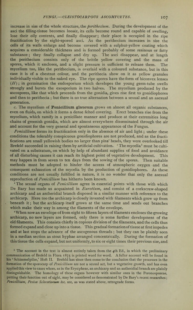 increase in size of the whole structure, the perithecium. During the development of the asci the filling-tissue becomes looser, its cells become round and capable of swelling, lose their oily contents, and finally disappear; their place is occupied in the ripe fructification by the eight-spored asci. As the perithecium increases in size the cells of its walls enlarge and become covered with a sulphur-yellow coating which acquires a considerable thickness and is formed probably of some resinous or fatty substance ; they finally' collapse and dry up. The asci disappear, and at length the perithecium consists only of the brittle yellow covering and the mass of spores, which it encloses, and a slight pressure is sufficient to release them. The mycelium too, like the perithecium, is overlaid with a coloured substance, but in this case it is of a chestnut colour, and the perithecia show on it as yellow granules individually visible to the naked eye. The ripe spores have the form of biconvex lenses (H); in germination the endosporium which developes the young germ-tube swells strongly and bursts the exosporium in two halves. The mycelium produced by the ascospores, like that which proceeds from the gonidia, gives rise first to gonidiophores and then to perithecia ; but there is no true alternation between a sexual and an asexual generation. c. The mycelium of Penieillium glaucum grows on almost all organic substances, even on fluids, on which it forms a dense felted covering. Erect branches rise from the mycelium, which ramify in a penicillate manner and produce at their extremities long chains of greenish gonidia, which are almost everywhere disseminated through the air and account for the very general and spontaneous appearance of the Fungus. Penieillium forms its fructification only in the absence of air and light; under these conditions the tolerably conspicuous gonidiophores are not produced, and as the fructi- fications are small yellowish bodies no larger than pins’ heads, they were overlooked till Brefeld succeeded in raising them by artificial cultivation. ‘ The mycelia1 must be culti- vated on a substratum, on which by help of abundant supplies of food and avoidance of all disturbing causes it can reach its highest point of vegetative development. This may happen in from seven to ten days from the sowing of the spores. Then suitable methods must be adopted to hinder the access of atmospheric oxygen and the consequent exhaustion of the mycelia by the production of gonidiophores. As these conditions are not usually fulfilled in nature, it is no wonder that only the asexual reproduction of Penieillium has hitherto been known. * The sexual organs of Penieillium agree in essential points with those with which De Bary has made us acquainted in Eurotium, and consist of a corkscrew-shaped archicarp and an antheridial branch disposed in a similar manner with reference to the archicarp. Here too the archicarp is closely invested with filaments which grow up from beneath it; but the archicarp itself grows at the same time and sends out branches which make their way in among the filaments of the envelope. ‘ When now an envelope of from eight to fifteen layers of filaments encloses the growing archicarp, no new layers are formed, only there is some further development of the old filaments. This consists chiefly in copious division of the filaments, and the cells thus formed expand and close up into a tissue. This gradual formation of tissue at first impedes and at last stops the advance of the ascogenous threads ; but they can be plainly seen in a median section as stout hyphae arranged concentrically. During the formation of this tissue the cells expand, but not uniformly, to six or eight times their previous size, and 1 The account in the text is almost entirely taken from the 4th Ed., in which the preliminary communication of Brefeld in Flora 1875 is printed word for word. A fuller account will be found in his ‘ Schimmelpilze,’ Heft II. Brefeld has since then come to the conclusion that the processes in the formation of the sporocarp of Penieillium are not a sexual act, but a vegetative growth, and has even applied this view to cases where, as in the Erysipheae, an archicarp and an antheridial branch are plainly distinguishable. The homology of these organs however with similar ones in the Peronosporeae, putting their function out of sight, may be considered as demonstrated by De Bary’s recent researches ; Penieillium, Peziza Sclerotiorum See. are, as was stated above, retrograde forms.