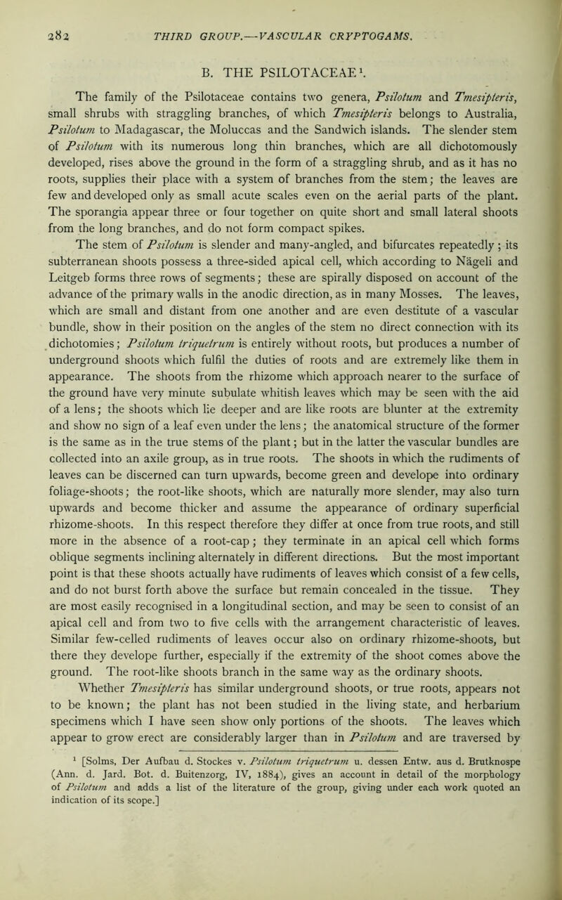 B. THE PSILOTACEAE1. The family of the Psilotaceae contains two genera, Psilotum and Tmesipteris, small shrubs with straggling branches, of which Tmesipteris belongs to Australia, Psilotum to Madagascar, the Moluccas and the Sandwich islands. The slender stem of Psilotum with its numerous long thin branches, which are all dichotomously developed, rises above the ground in the form of a straggling shrub, and as it has no roots, supplies their place with a system of branches from the stem; the leaves are few and developed only as small acute scales even on the aerial parts of the plant. The sporangia appear three or four together on quite short and small lateral shoots from the long branches, and do not form compact spikes. The stem of Psilotum is slender and many-angled, and bifurcates repeatedly ; its subterranean shoots possess a three-sided apical cell, which according to Nageli and Leitgeb forms three rows of segments; these are spirally disposed on account of the advance of the primary walls in the anodic direction, as in many Mosses. The leaves, which are small and distant from one another and are even destitute of a vascular bundle, show in their position on the angles of the stem no direct connection with its dichotomies; Psilotum triquetrum is entirely without roots, but produces a number of underground shoots which fulfil the duties of roots and are extremely like them in appearance. The shoots from the rhizome which approach nearer to the surface of the ground have very minute subulate whitish leaves which may be seen with the aid of a lens; the shoots which lie deeper and are like roots are blunter at the extremity and show no sign of a leaf even under the lens; the anatomical structure of the former is the same as in the true stems of the plant; but in the latter the vascular bundles are collected into an axile group, as in true roots. The shoots in which the rudiments of leaves can be discerned can turn upwards, become green and develope into ordinary foliage-shoots; the root-like shoots, which are naturally more slender, may also turn upwards and become thicker and assume the appearance of ordinary superficial rhizome-shoots. In this respect therefore they differ at once from true roots, and still more in the absence of a root-cap ; they terminate in an apical cell which forms oblique segments inclining alternately in different directions. But the most important point is that these shoots actually have rudiments of leaves which consist of a few cells, and do not burst forth above the surface but remain concealed in the tissue. They are most easily recognised in a longitudinal section, and may be seen to consist of an apical cell and from two to five cells with the arrangement characteristic of leaves. Similar few-celled rudiments of leaves occur also on ordinary rhizome-shoots, but there they develope further, especially if the extremity of the shoot comes above the ground. The root-like shoots branch in the same way as the ordinary shoots. Whether Tmesipteris has similar underground shoots, or true roots, appears not to be known; the plant has not been studied in the living state, and herbarium specimens which I have seen show only portions of the shoots. The leaves which appear to grow erect are considerably larger than in Psilotum and are traversed by 1 [Solms, Der Aufbau d. Stockes v. Psilotum triquetrum u. dessen Entw. aus d. Brutknospe (Ann. d. Jard. Bot. d. Buitenzorg, IV, 1884), gives an account in detail of the morphology of Psilotum and adds a list of the literature of the group, giving under each work quoted an indication of its scope.]